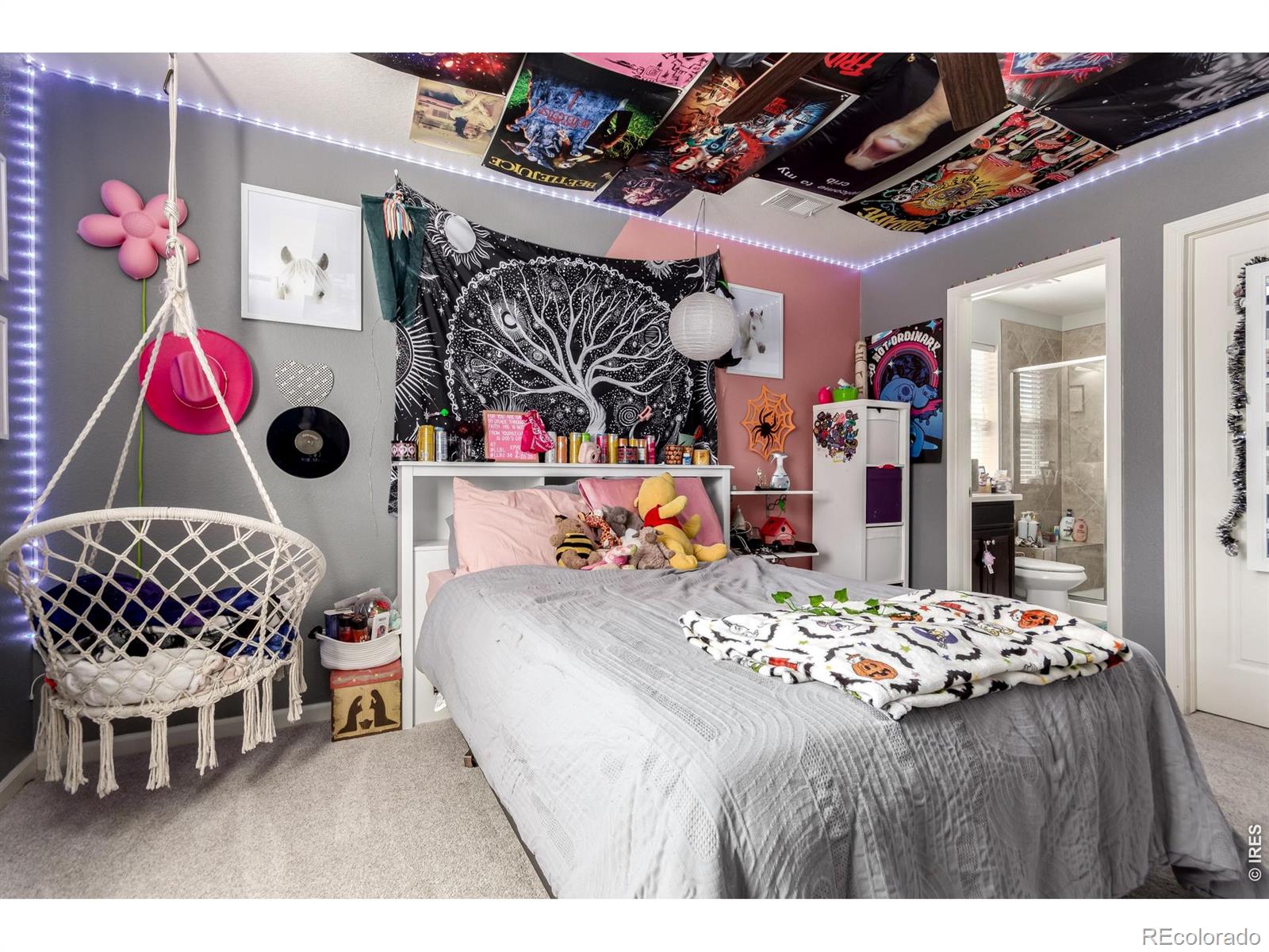 MLS Image #24 for 7132  bandit drive,castle rock, Colorado