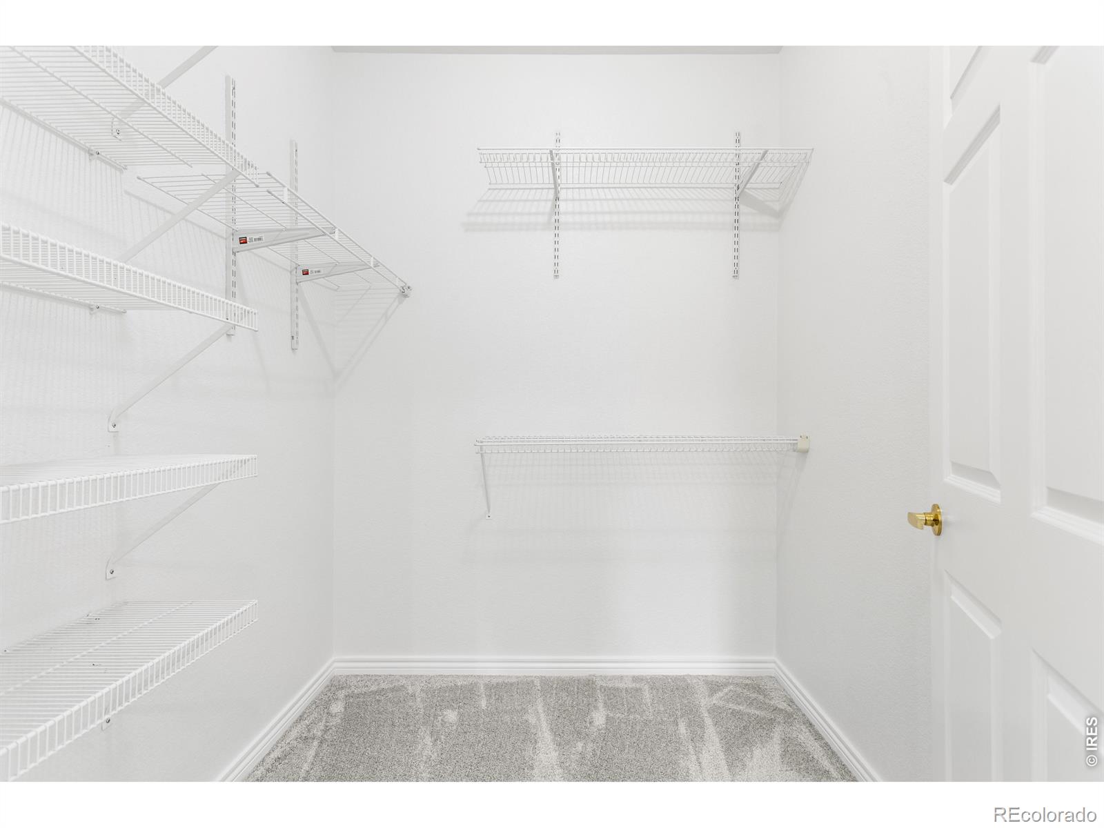MLS Image #15 for 3002 w elizabeth street,fort collins, Colorado
