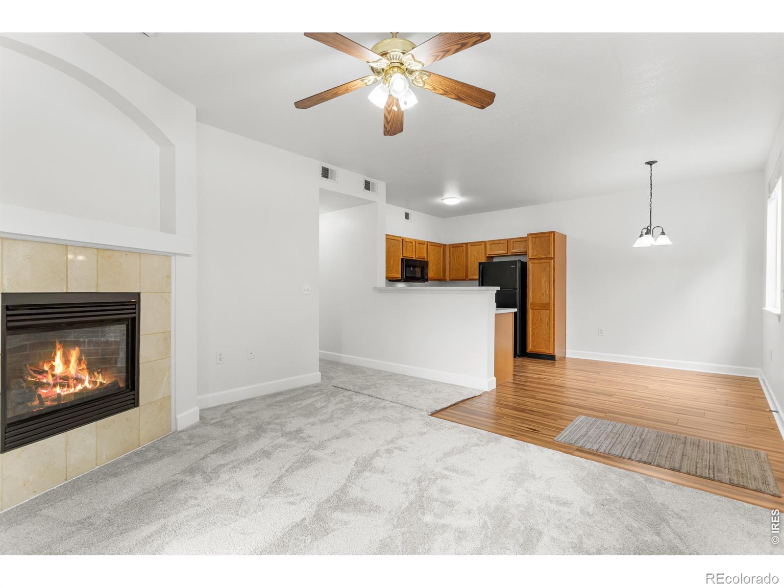 MLS Image #5 for 3002 w elizabeth street,fort collins, Colorado