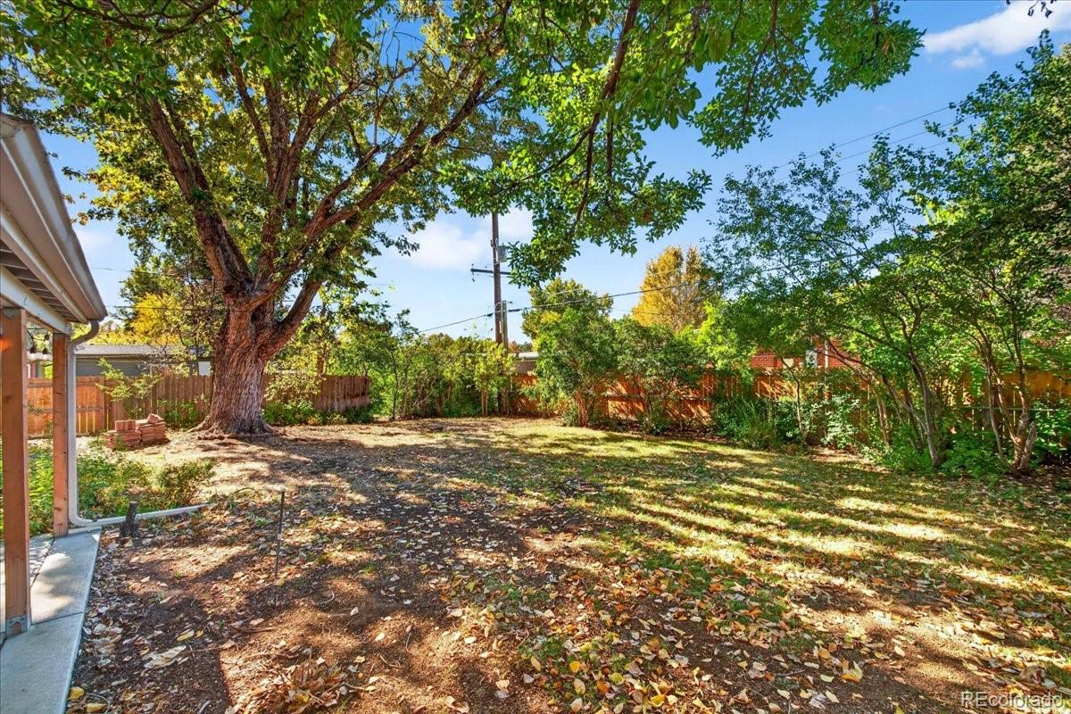 MLS Image #26 for 5975  dudley street,arvada, Colorado