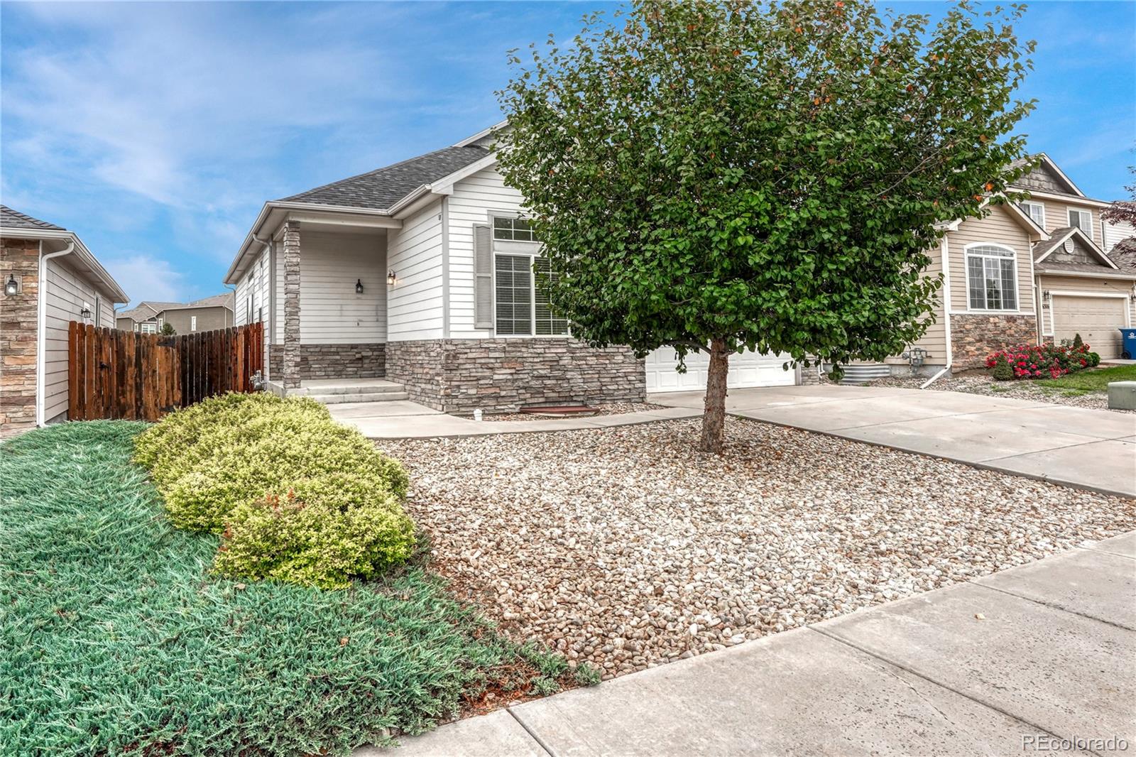 MLS Image #2 for 6324  roundup butte street,colorado springs, Colorado
