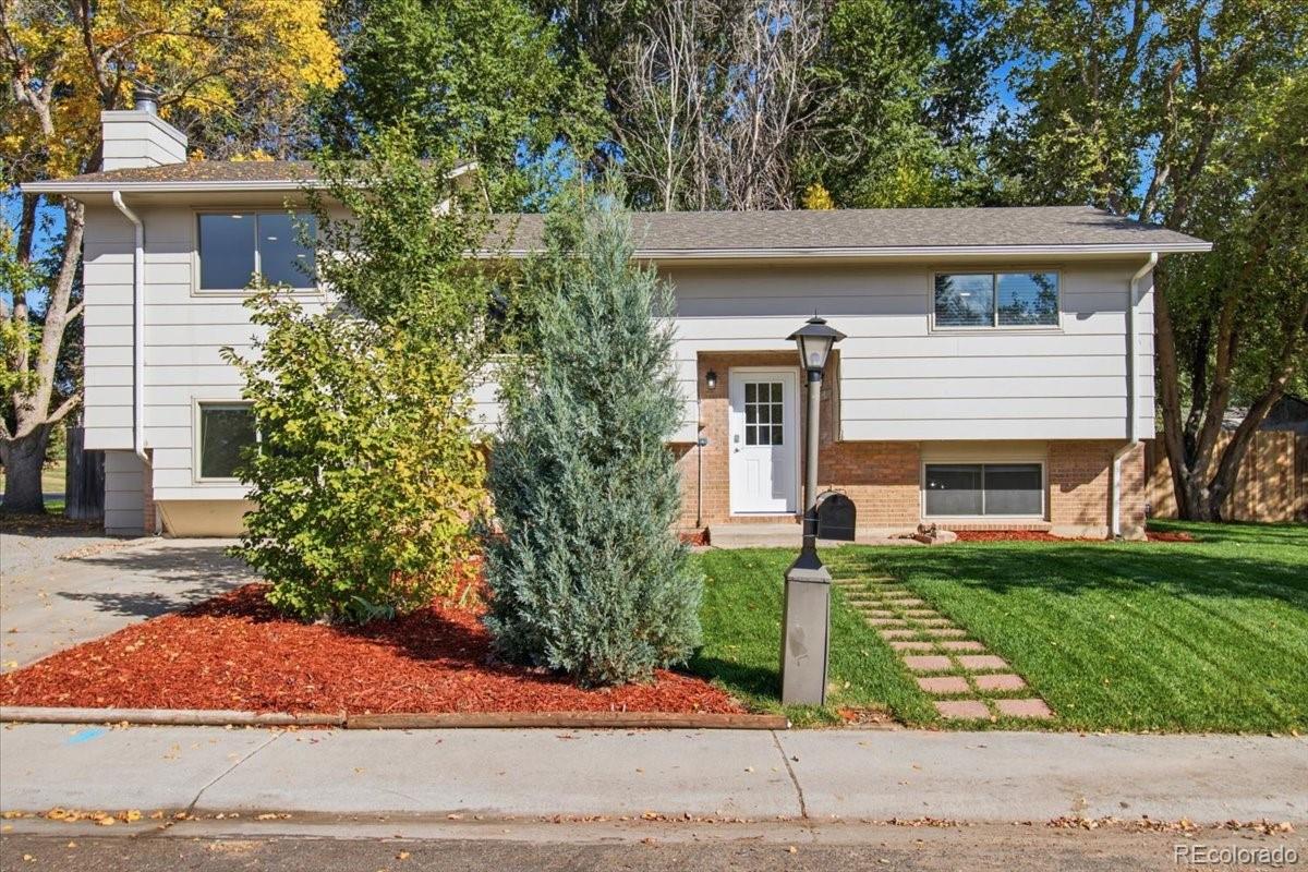 MLS Image #10 for 466  fox street,longmont, Colorado