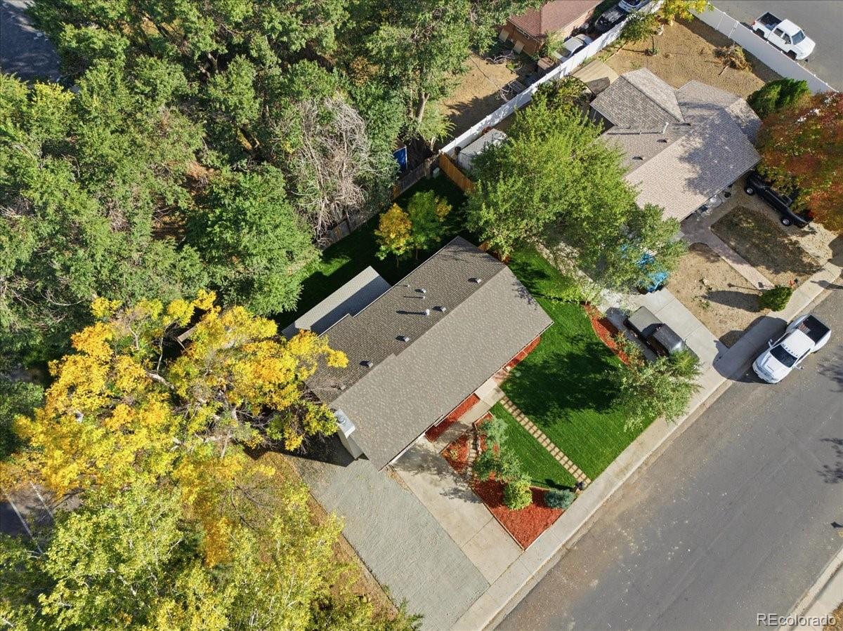 MLS Image #11 for 466  fox street,longmont, Colorado