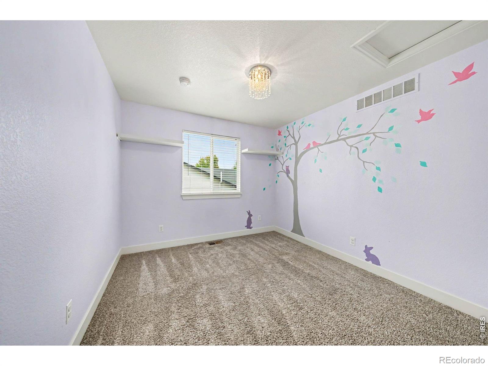 MLS Image #21 for 6503  thunderhill avenue,firestone, Colorado