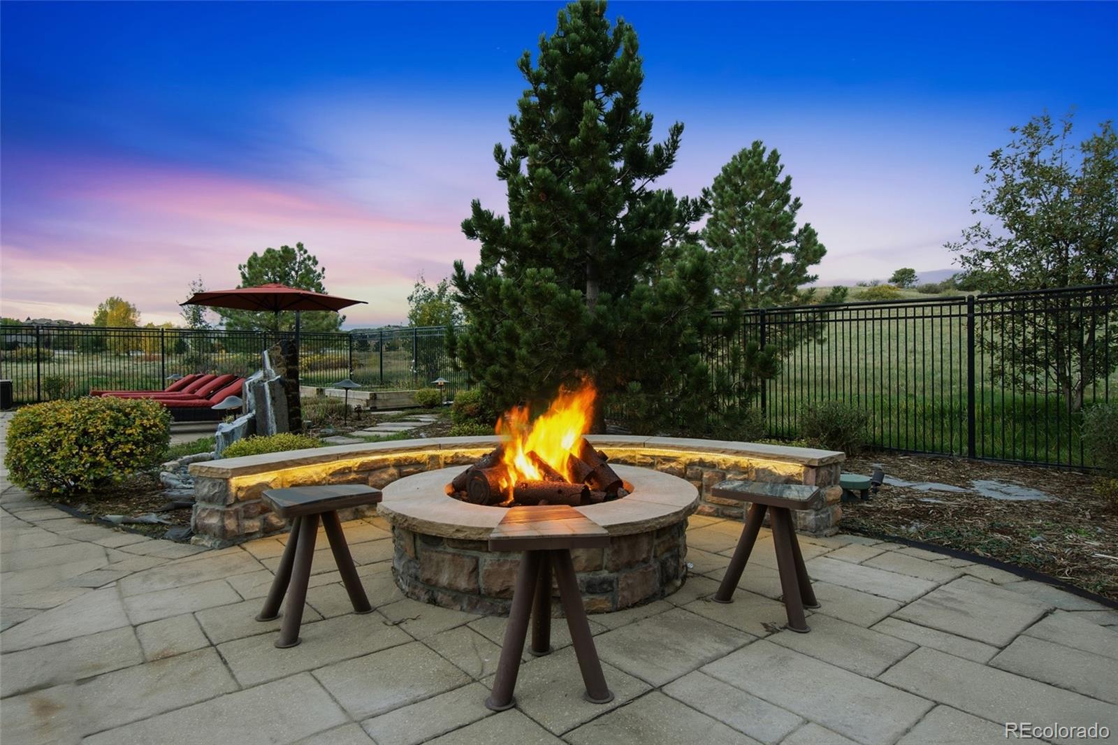 MLS Image #14 for 5671  campina way,parker, Colorado