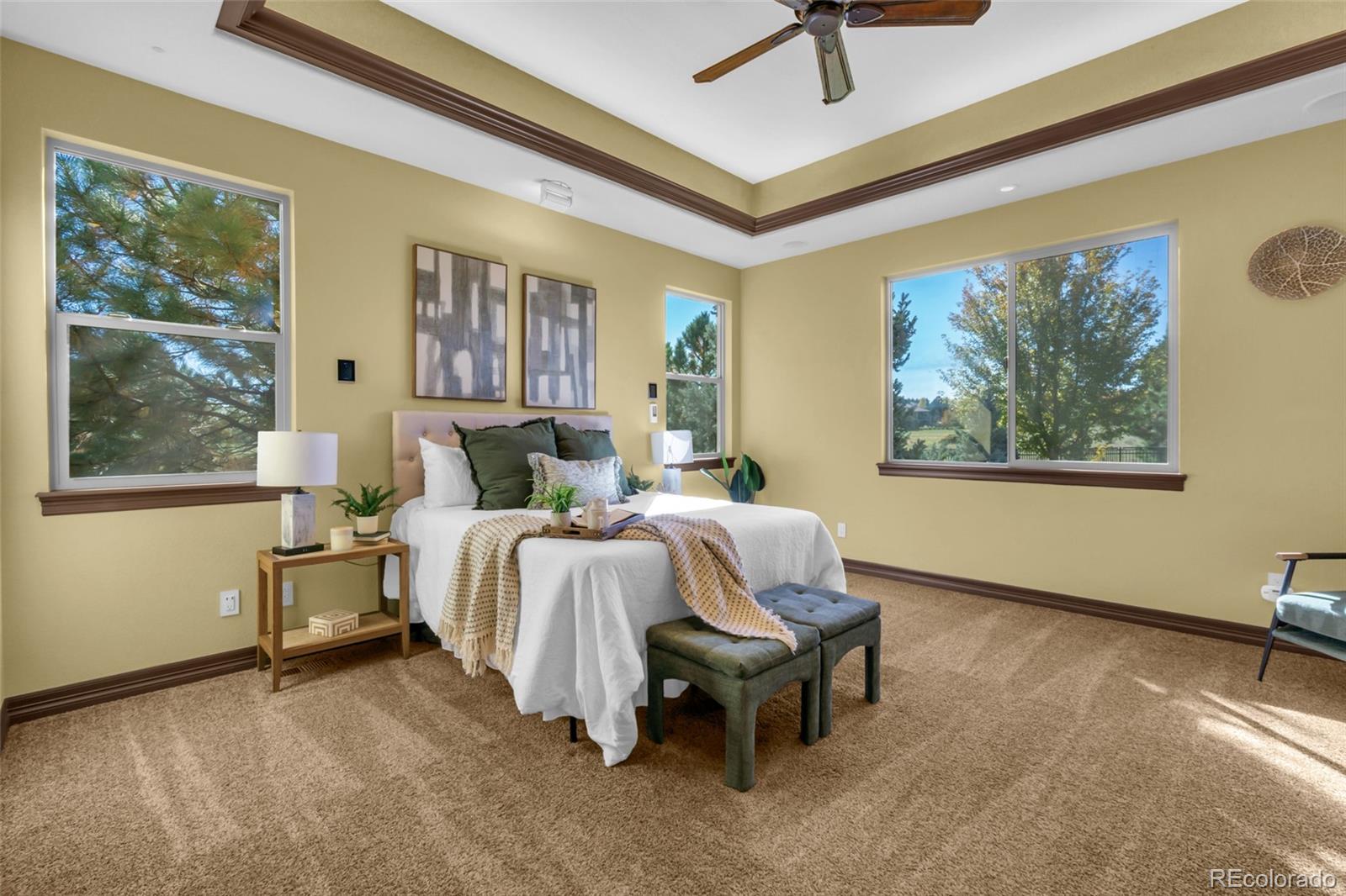 MLS Image #32 for 5671  campina way,parker, Colorado