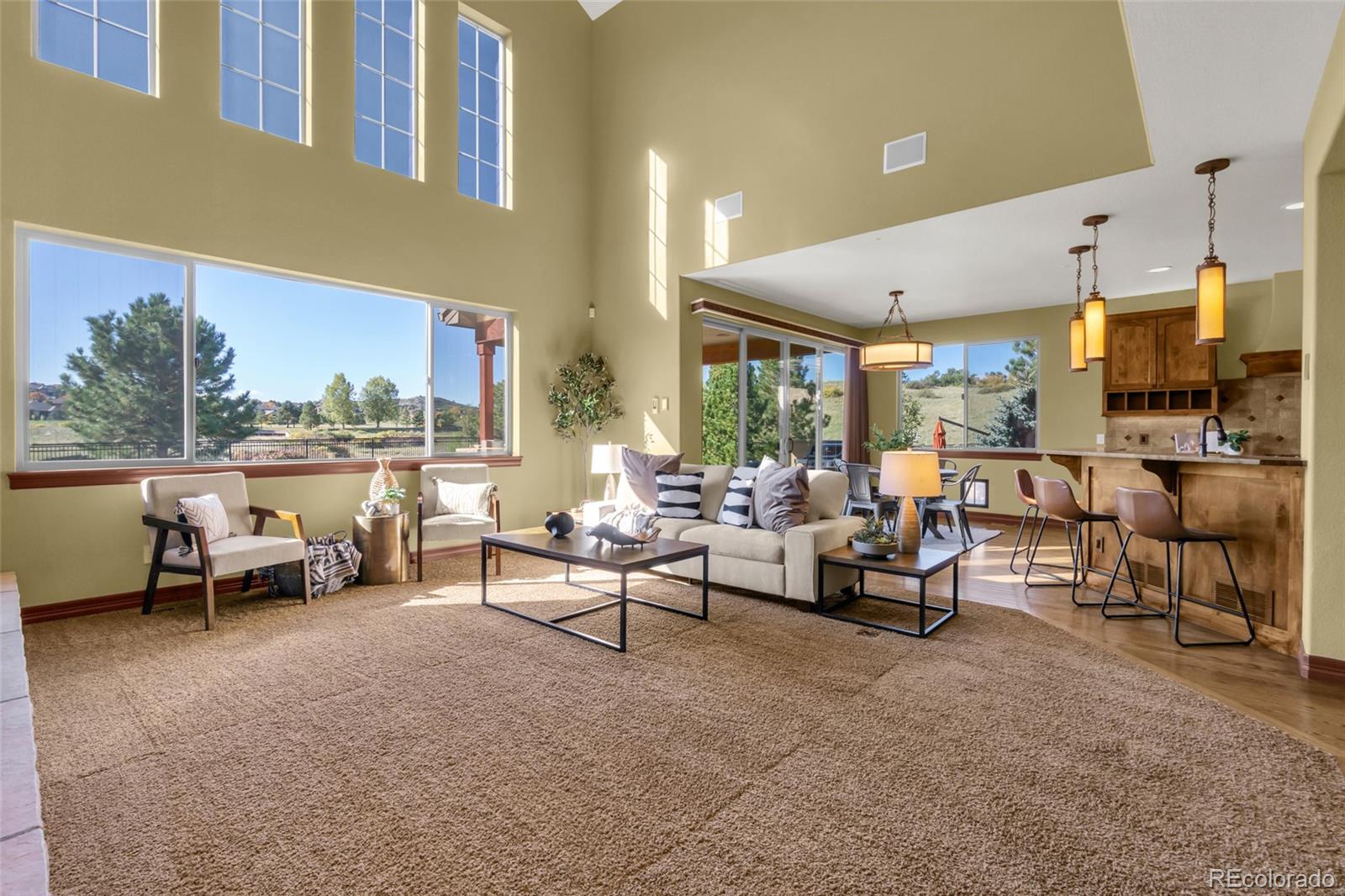 MLS Image #6 for 5671  campina way,parker, Colorado