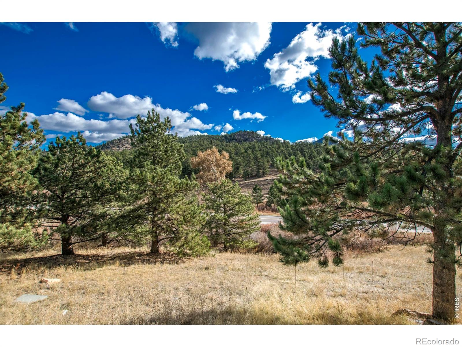 MLS Image #22 for 1861  raven avenue,estes park, Colorado