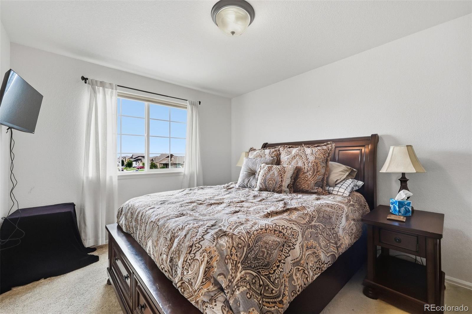 MLS Image #21 for 4204  paddock drive,wellington, Colorado
