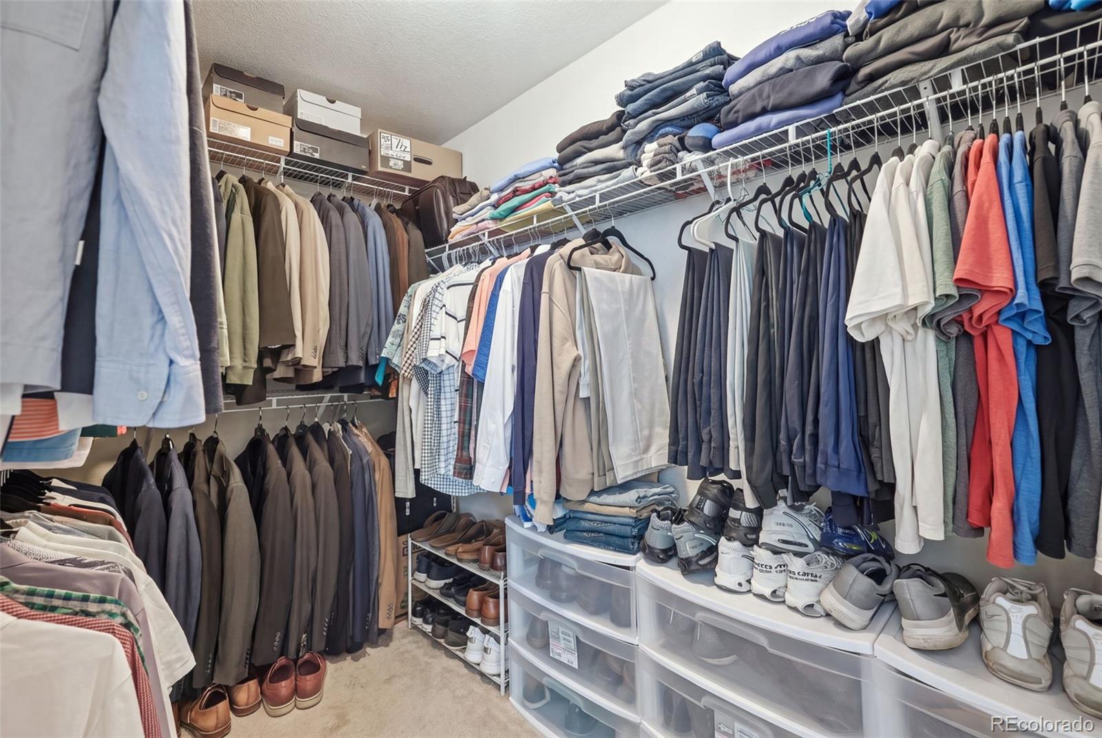 MLS Image #26 for 4204  paddock drive,wellington, Colorado