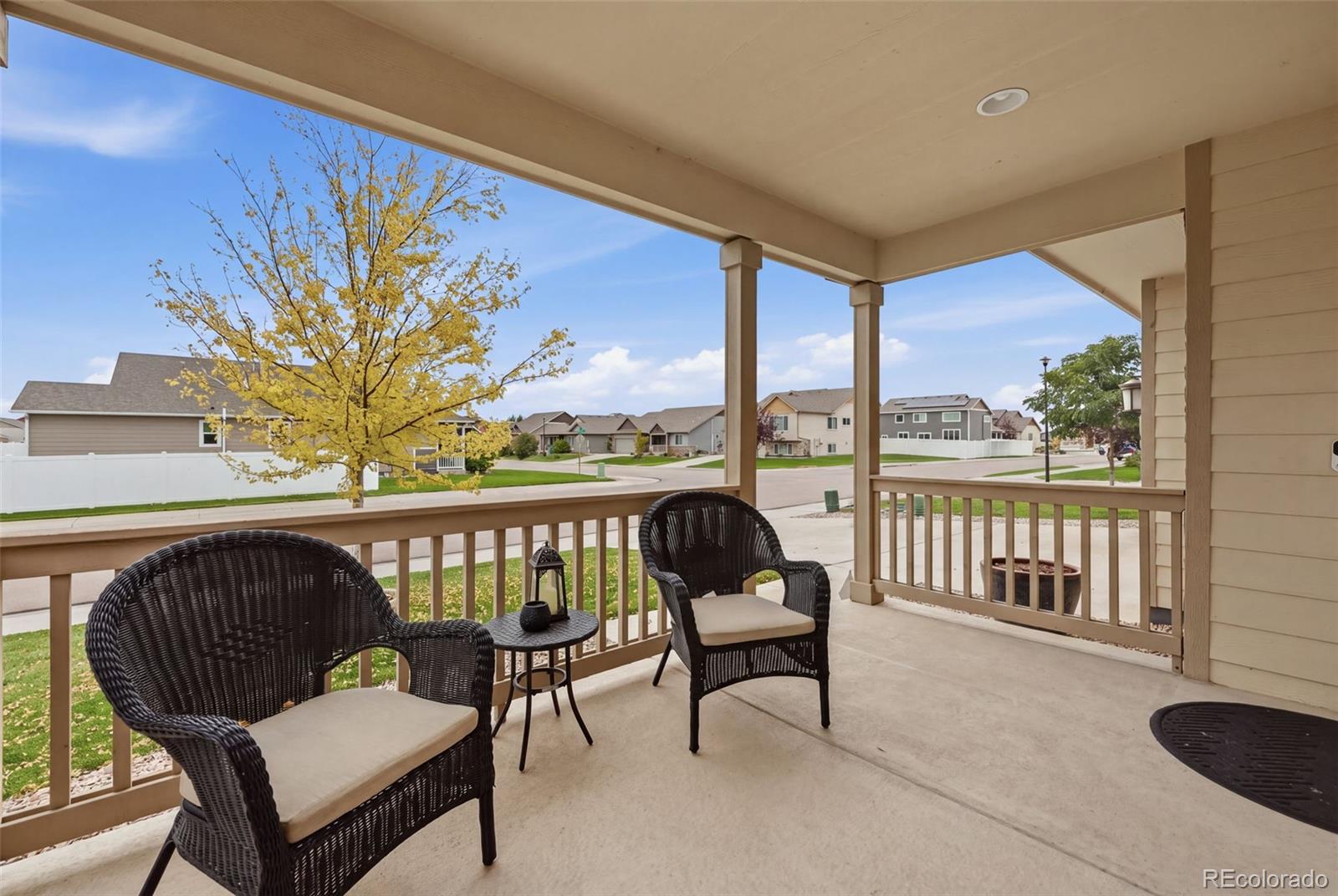 MLS Image #3 for 4204  paddock drive,wellington, Colorado