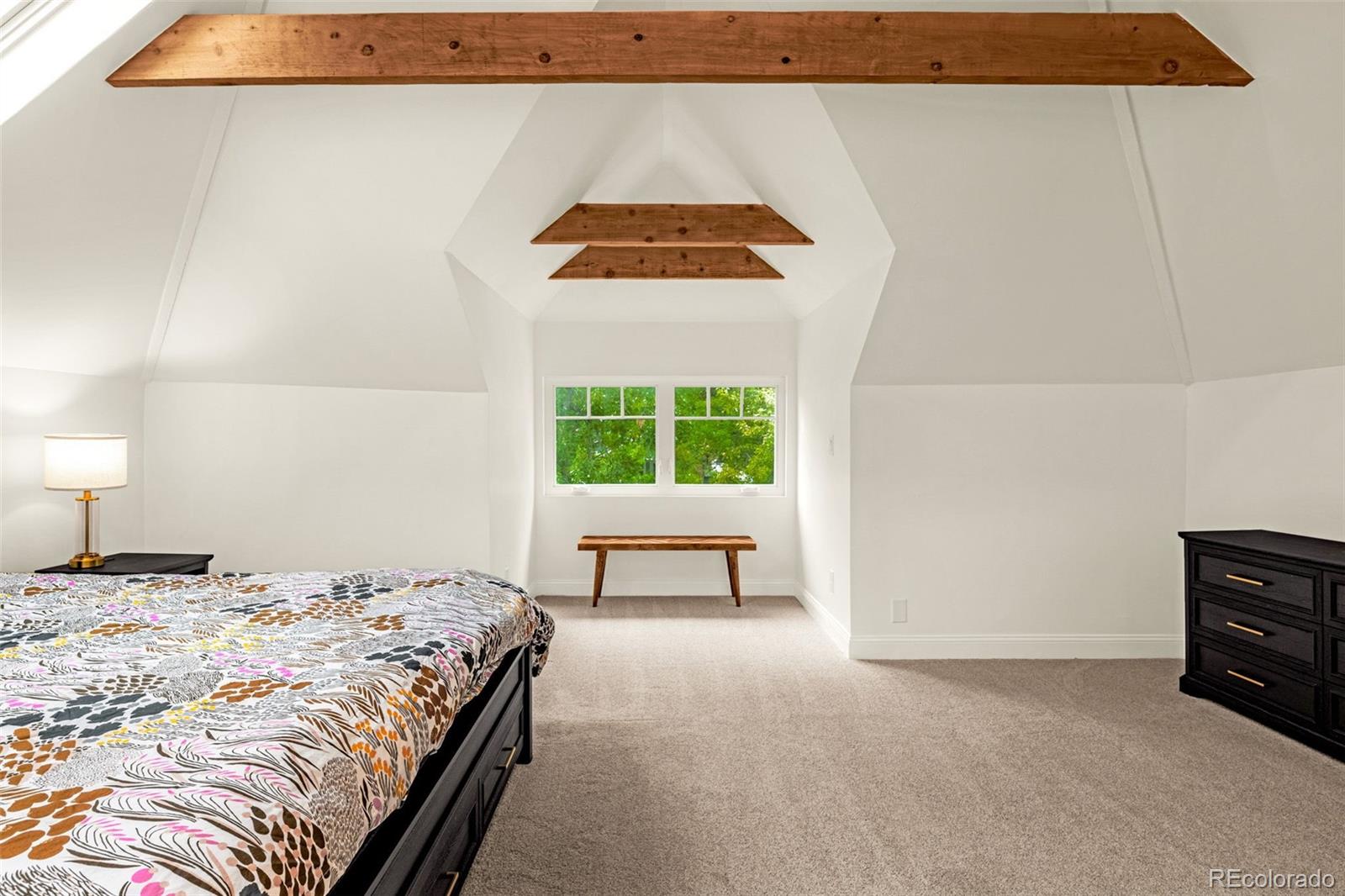 MLS Image #19 for 1521 n weber street,colorado springs, Colorado