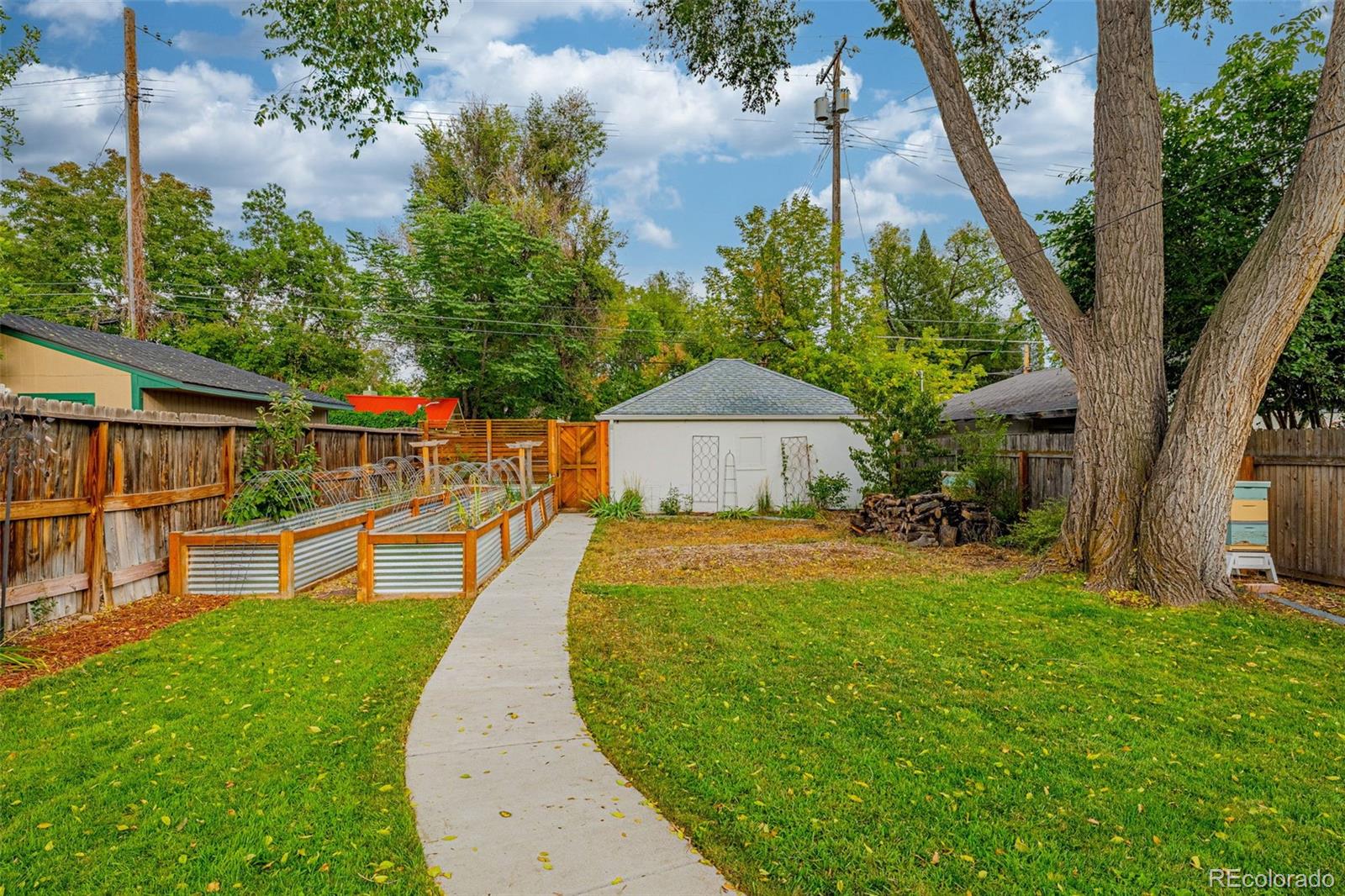 MLS Image #42 for 1521 n weber street,colorado springs, Colorado