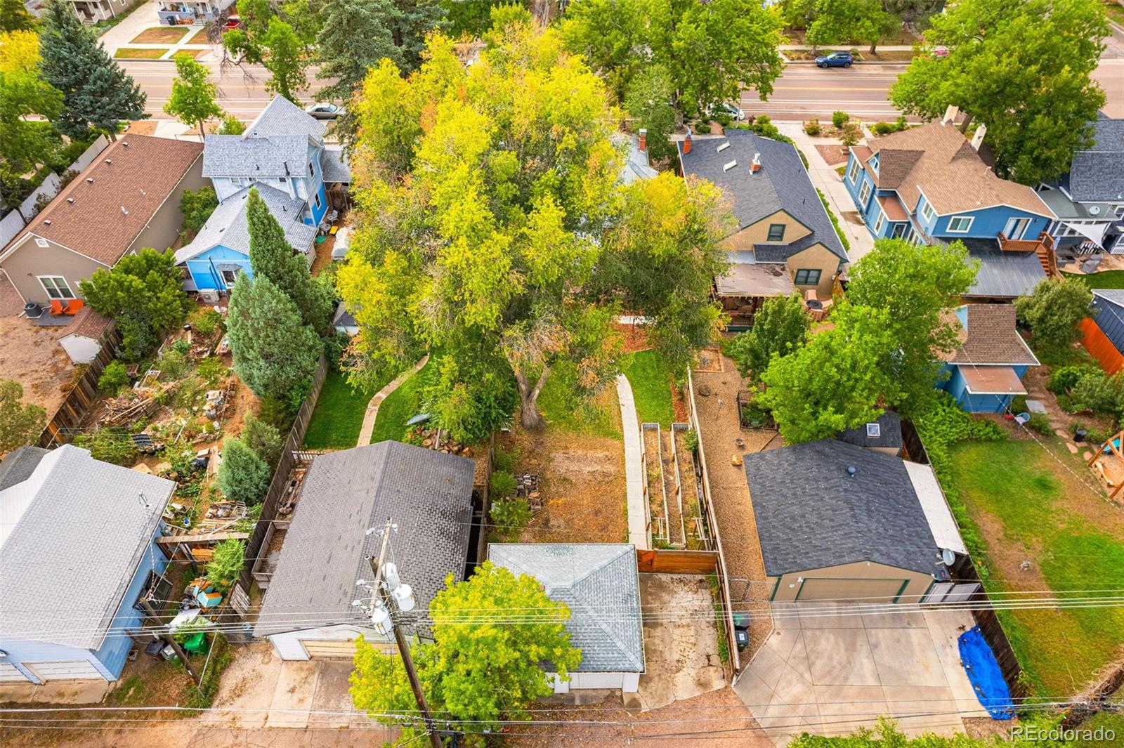 MLS Image #47 for 1521 n weber street,colorado springs, Colorado