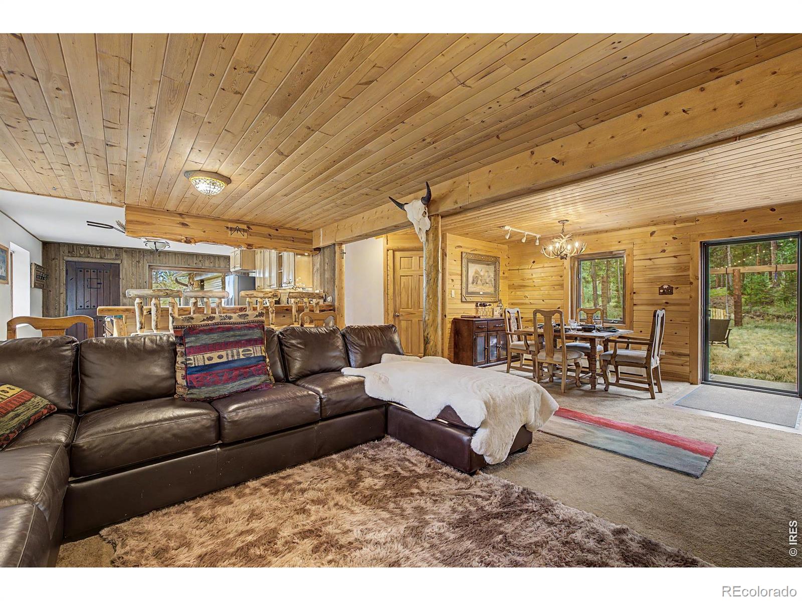 MLS Image #20 for 2028  lazy z road,nederland, Colorado
