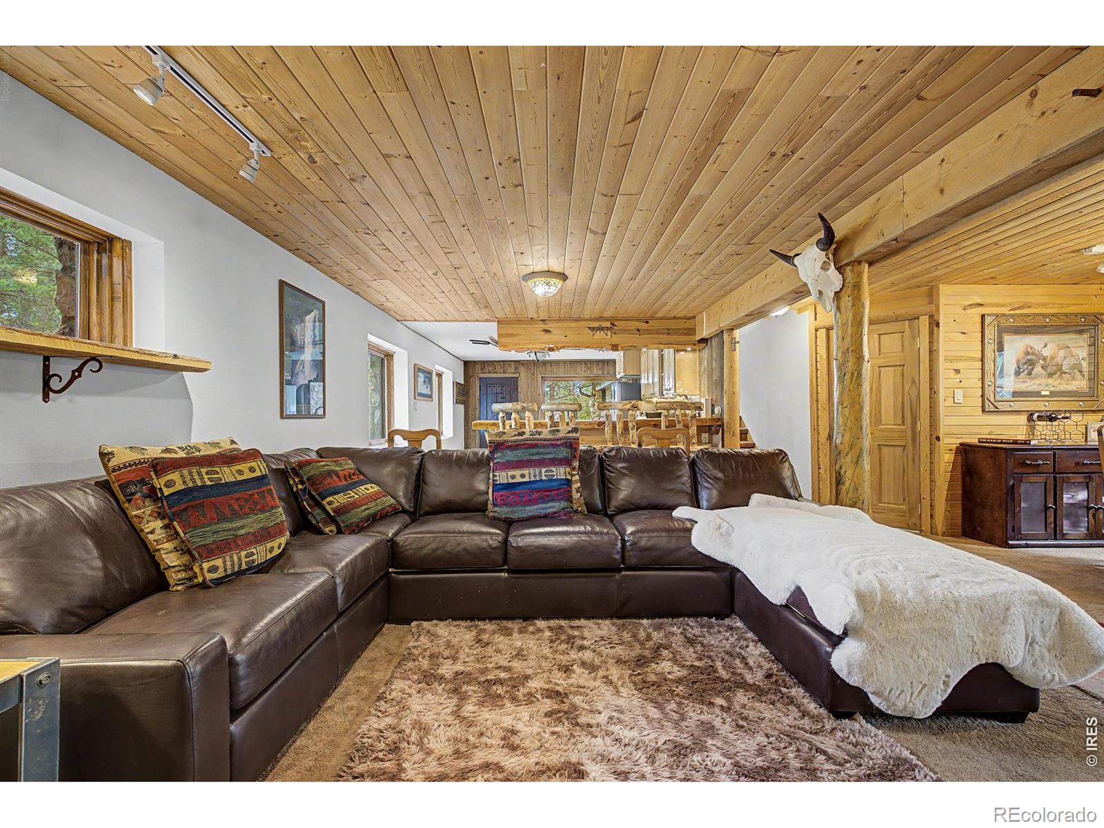 MLS Image #21 for 2028  lazy z road,nederland, Colorado