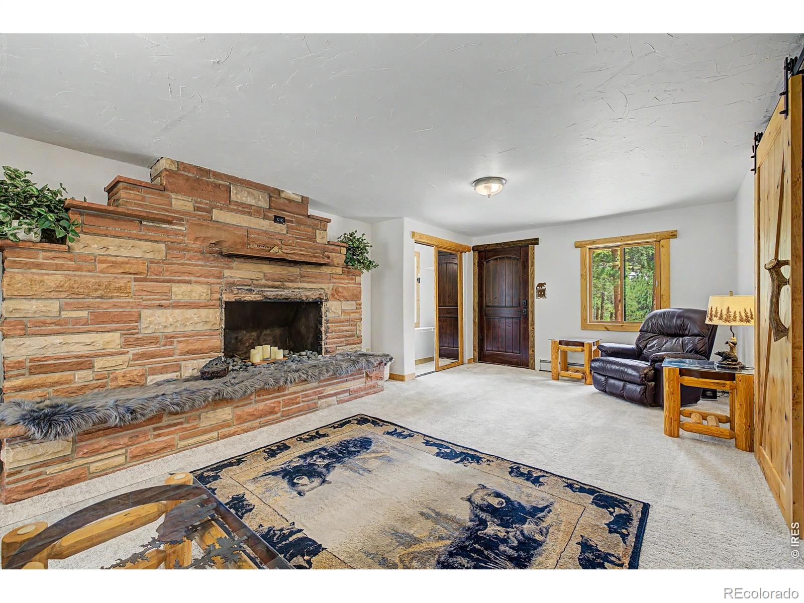 MLS Image #25 for 2028  lazy z road,nederland, Colorado
