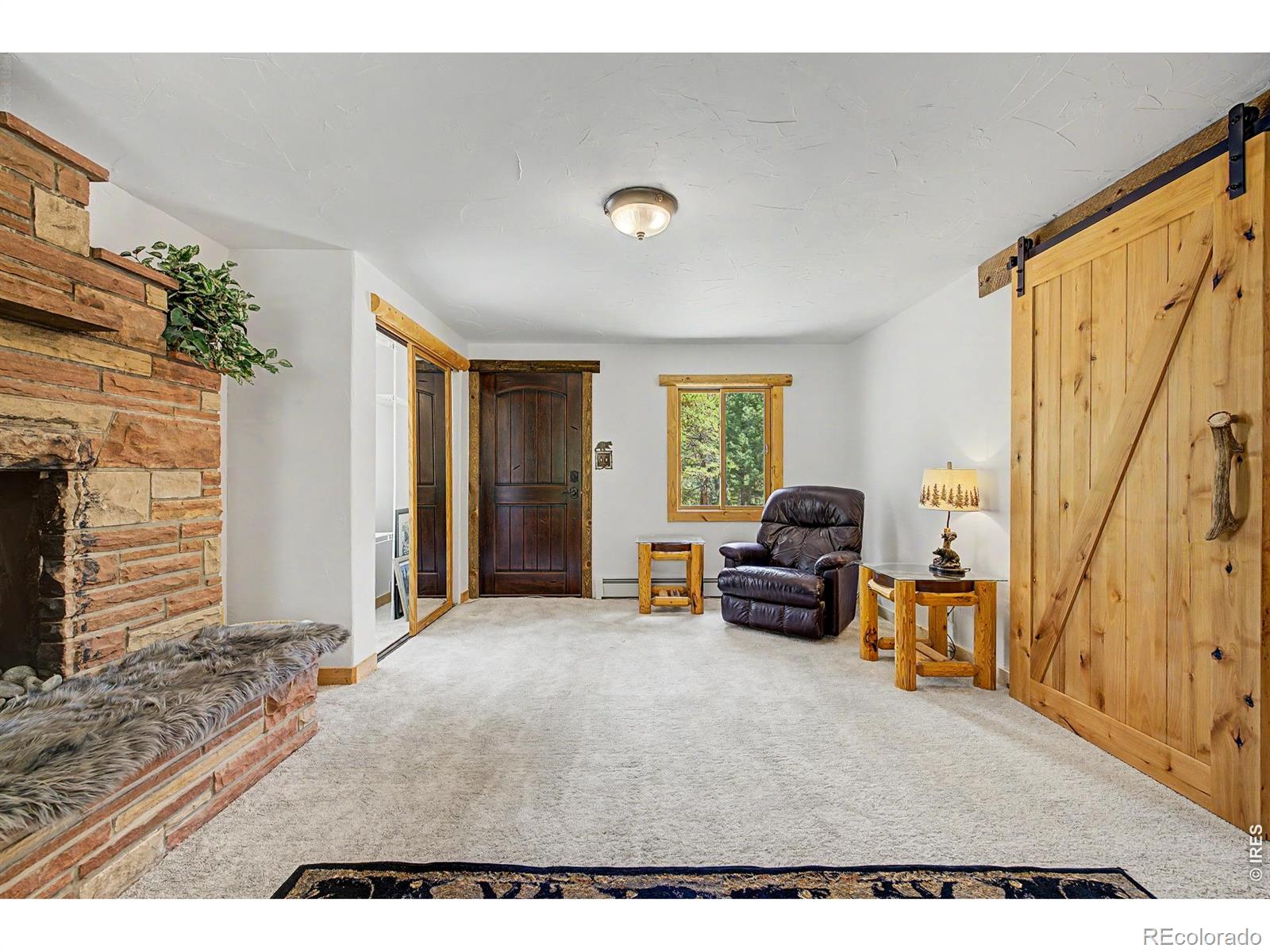 MLS Image #26 for 2028  lazy z road,nederland, Colorado
