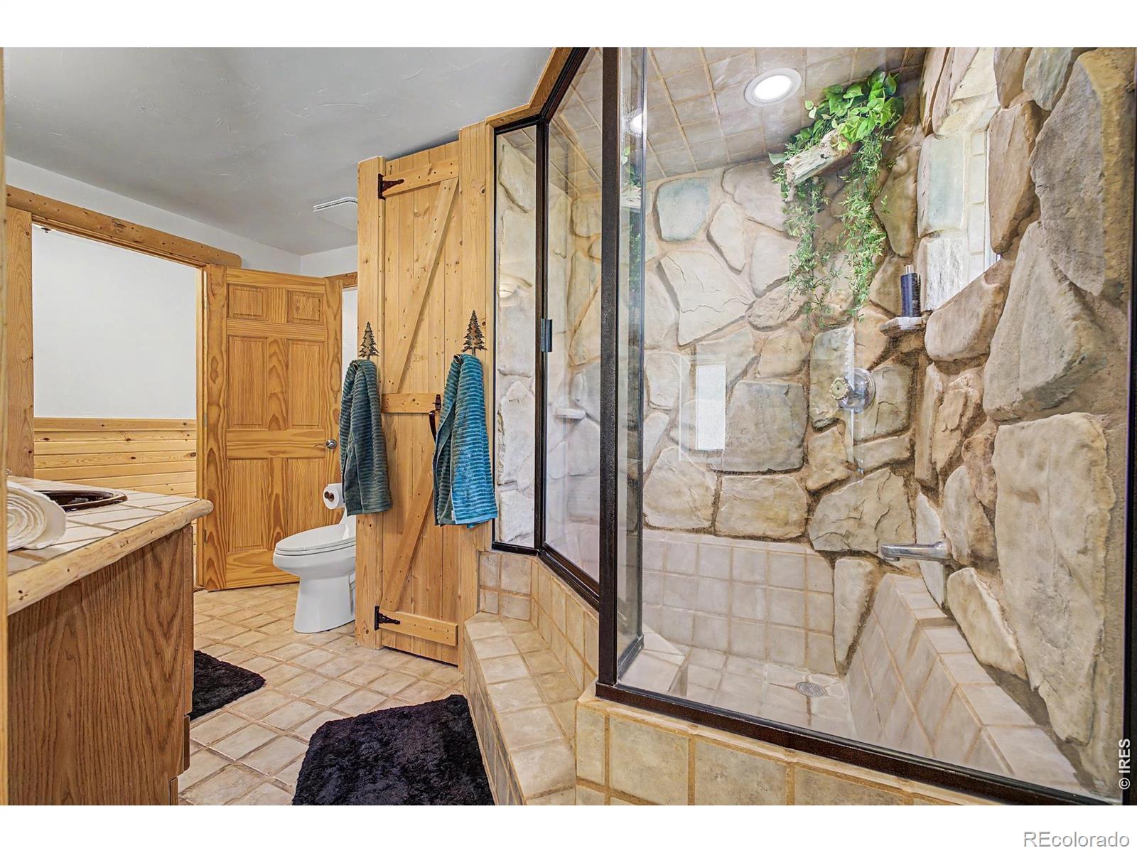 MLS Image #28 for 2028  lazy z road,nederland, Colorado