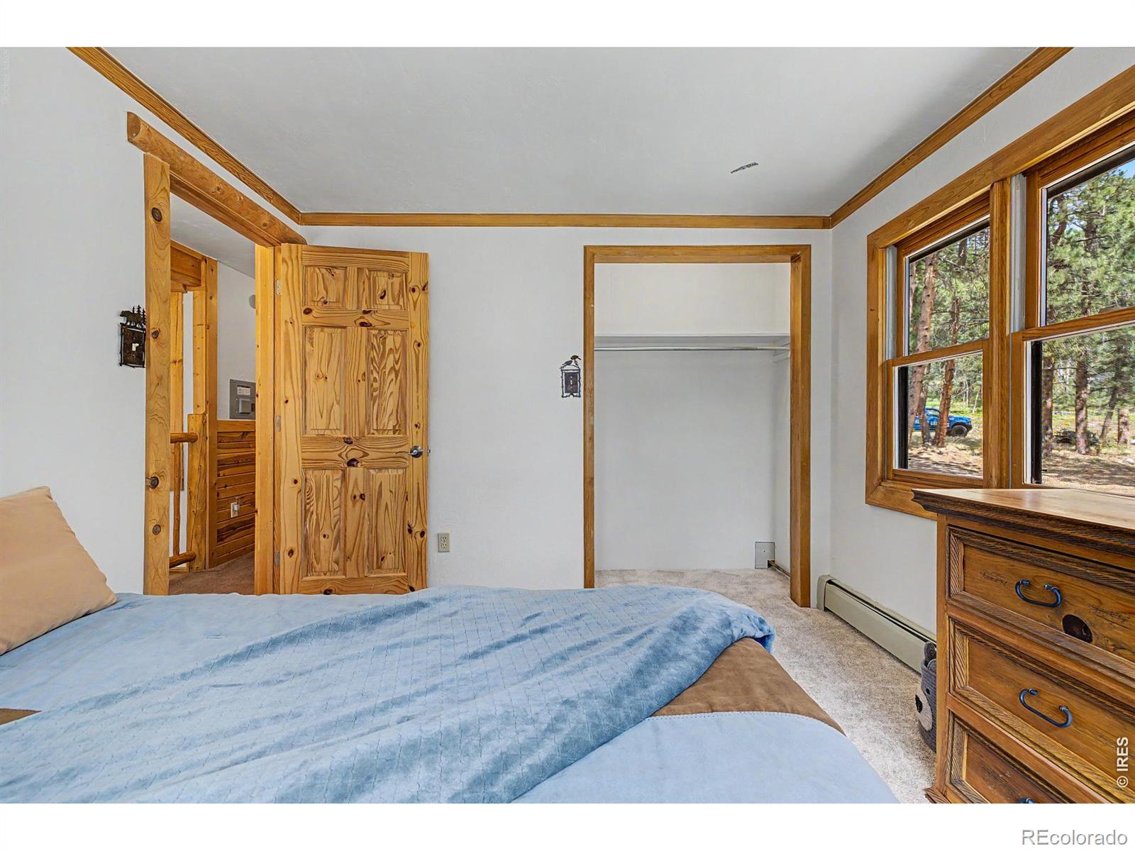 MLS Image #29 for 2028  lazy z road,nederland, Colorado