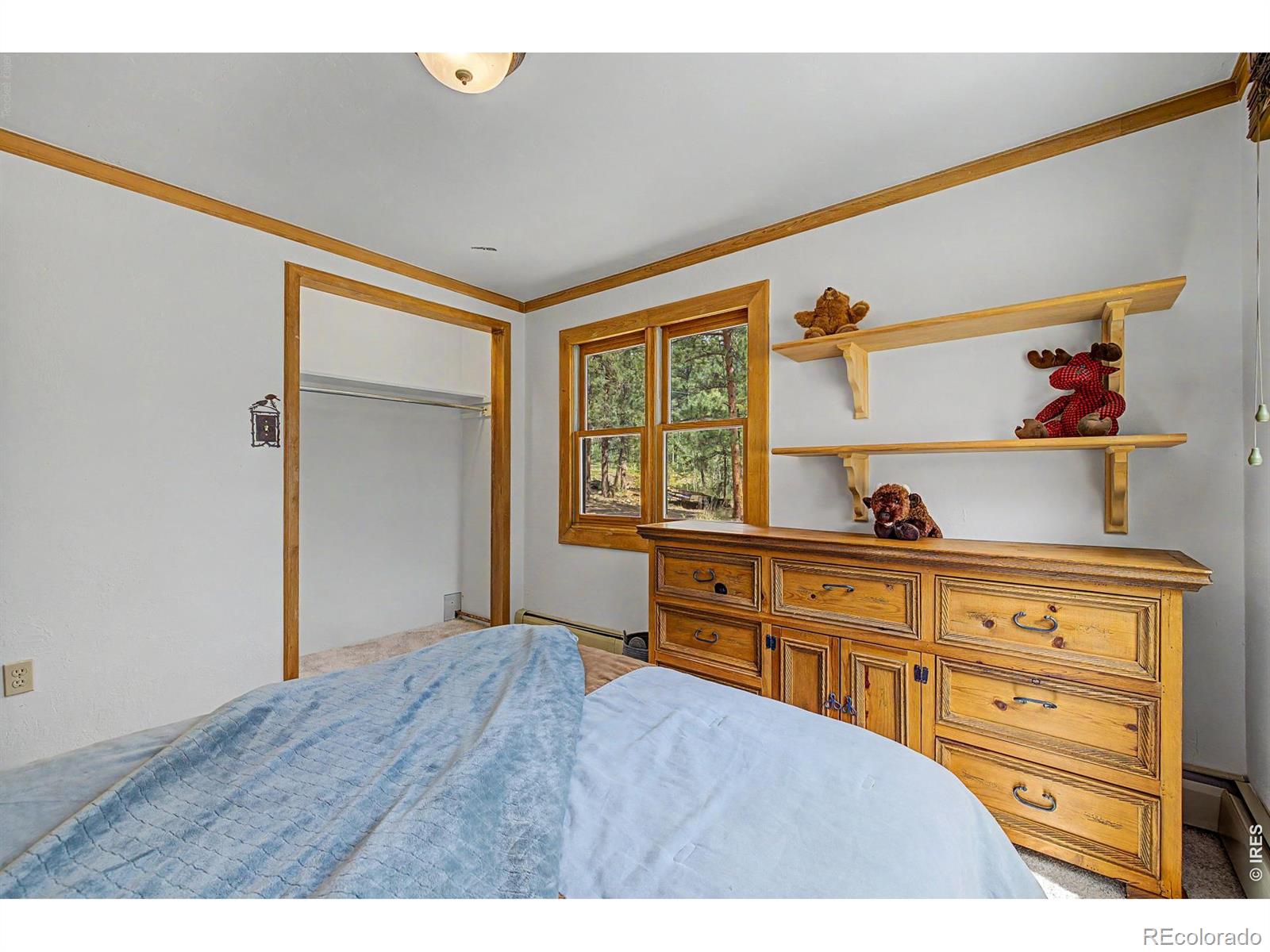 MLS Image #30 for 2028  lazy z road,nederland, Colorado