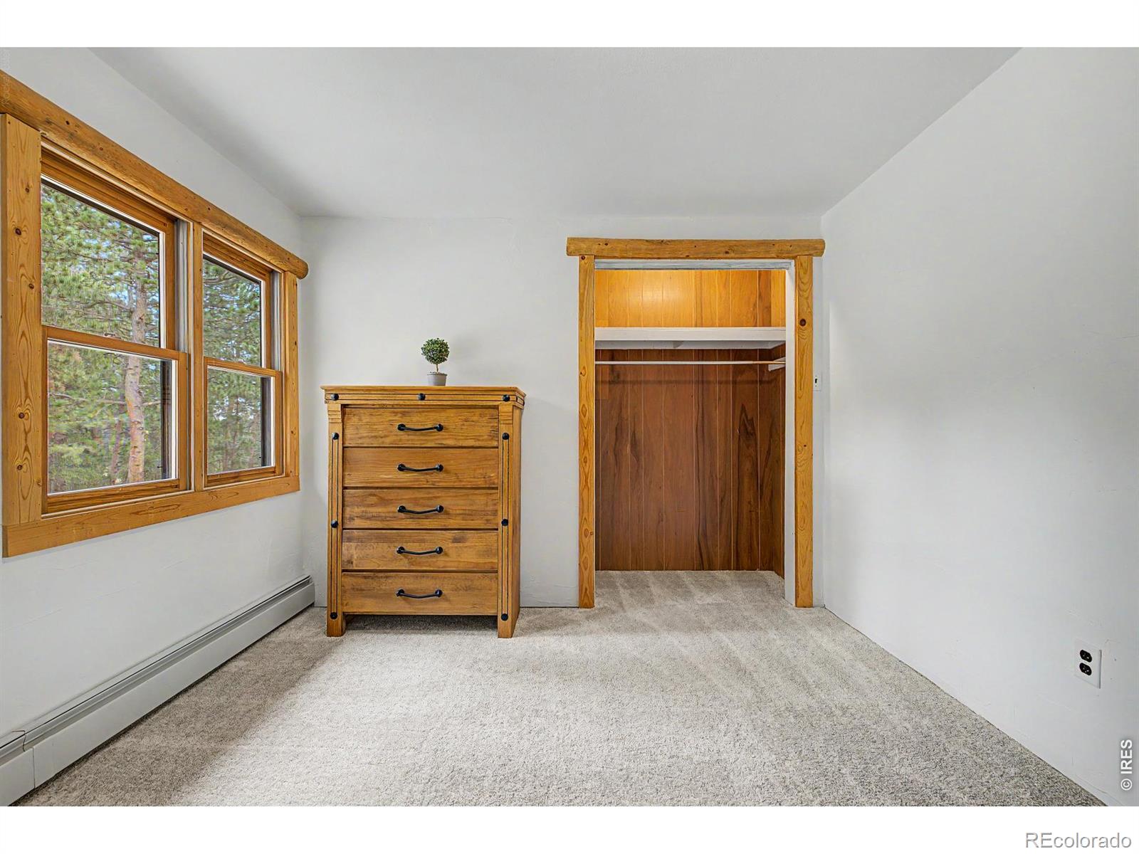 MLS Image #31 for 2028  lazy z road,nederland, Colorado