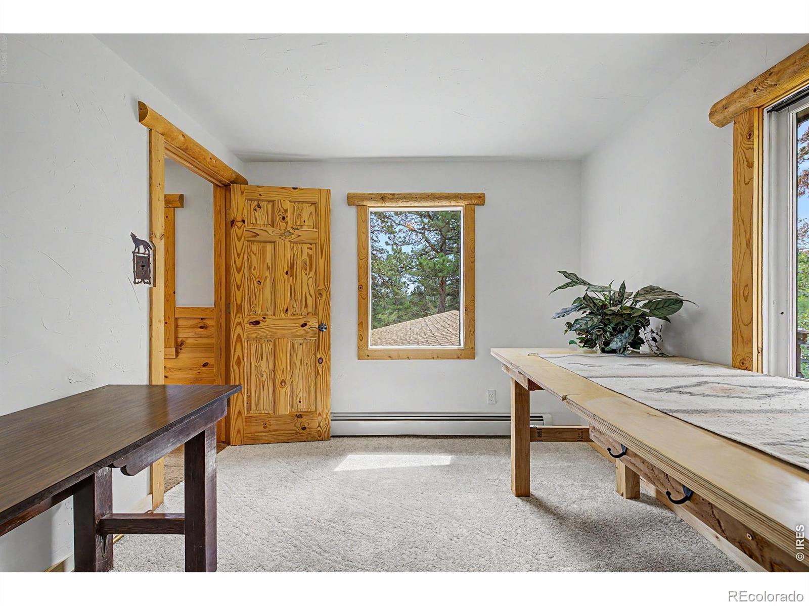 MLS Image #35 for 2028  lazy z road,nederland, Colorado
