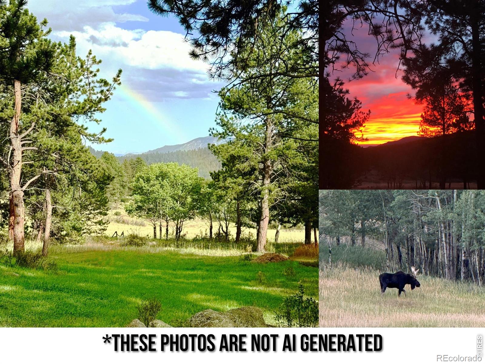 MLS Image #49 for 2028  lazy z road,nederland, Colorado
