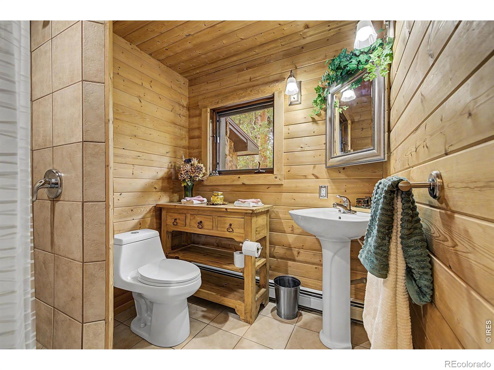 MLS Image #5 for 2028  lazy z road,nederland, Colorado