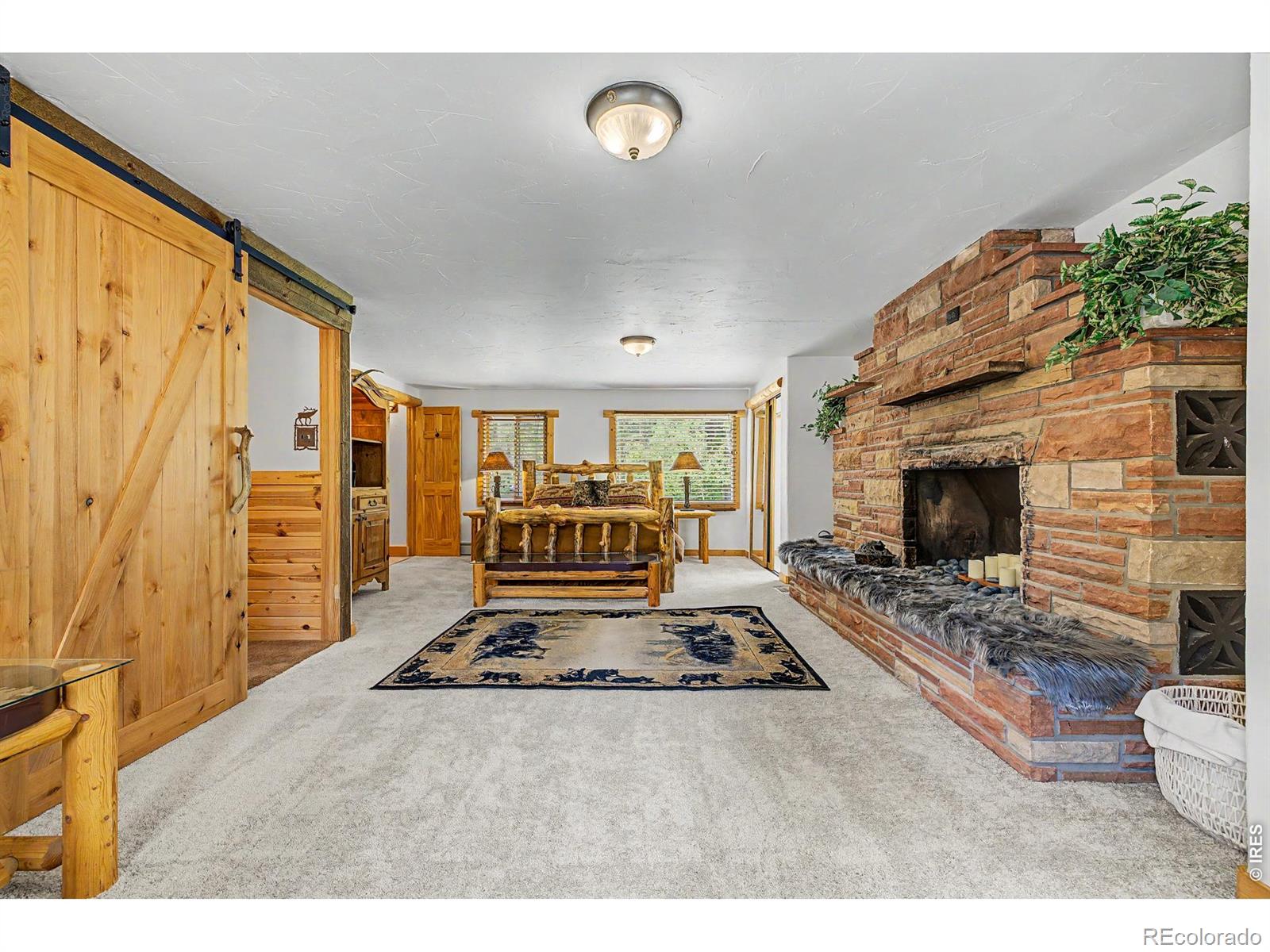 MLS Image #6 for 2028  lazy z road,nederland, Colorado