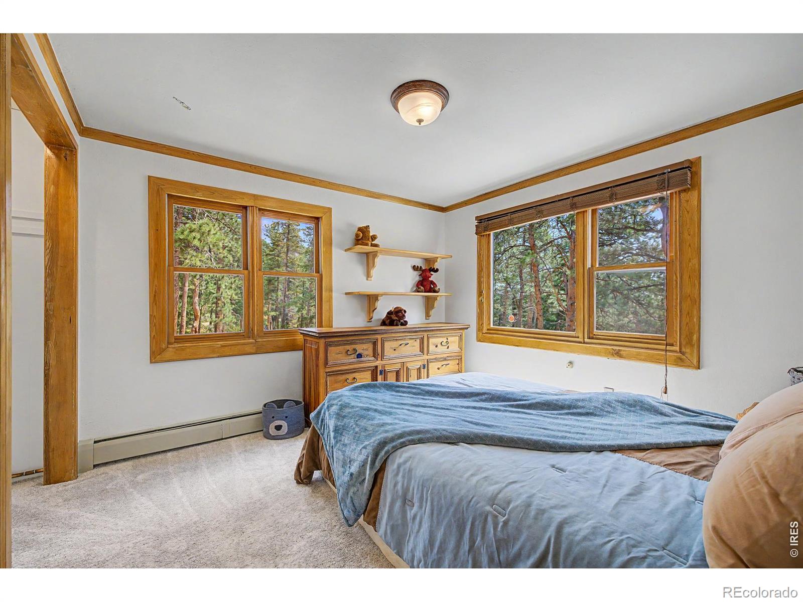 MLS Image #9 for 2028  lazy z road,nederland, Colorado