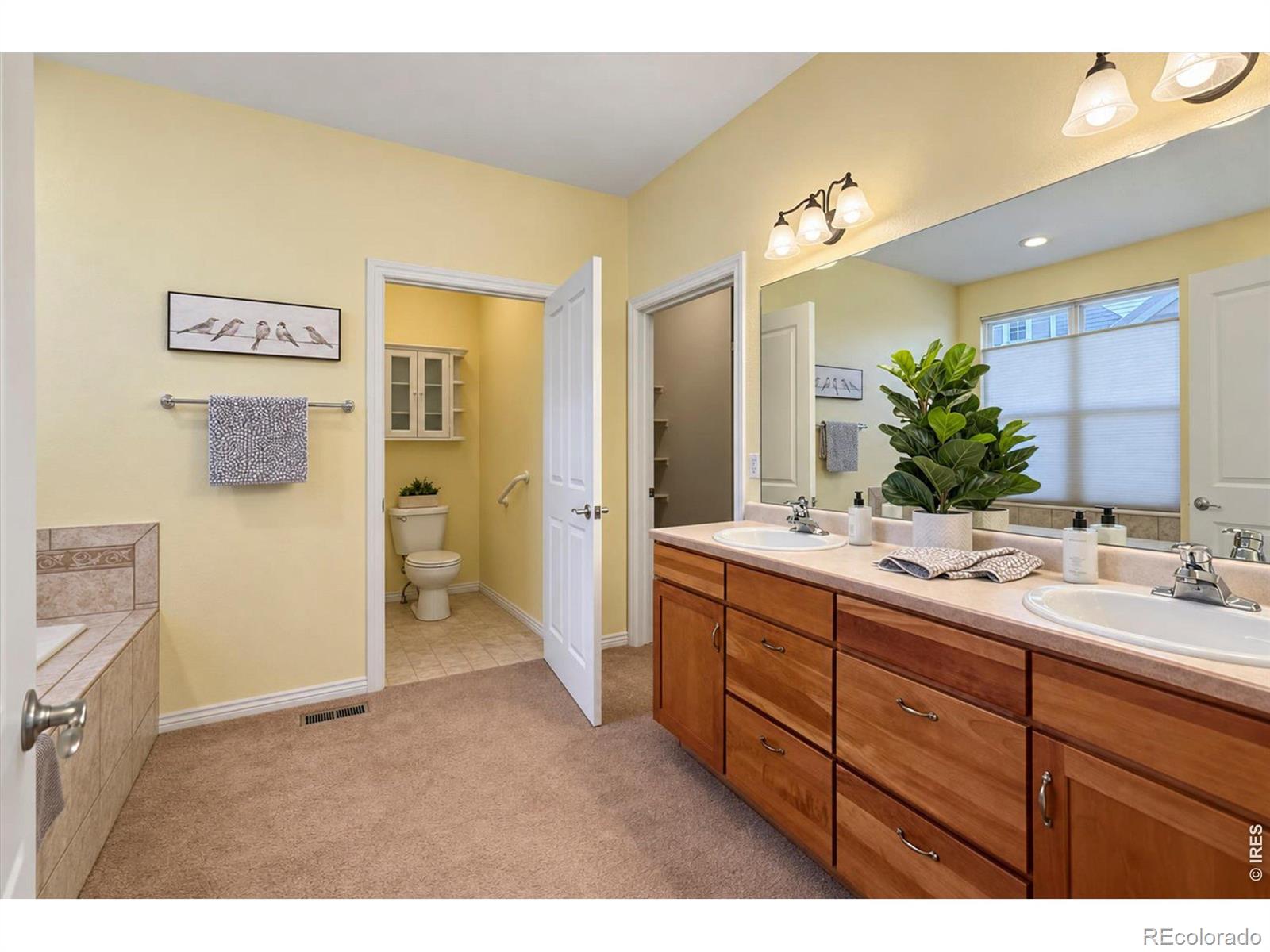MLS Image #27 for 812  windflower drive,longmont, Colorado