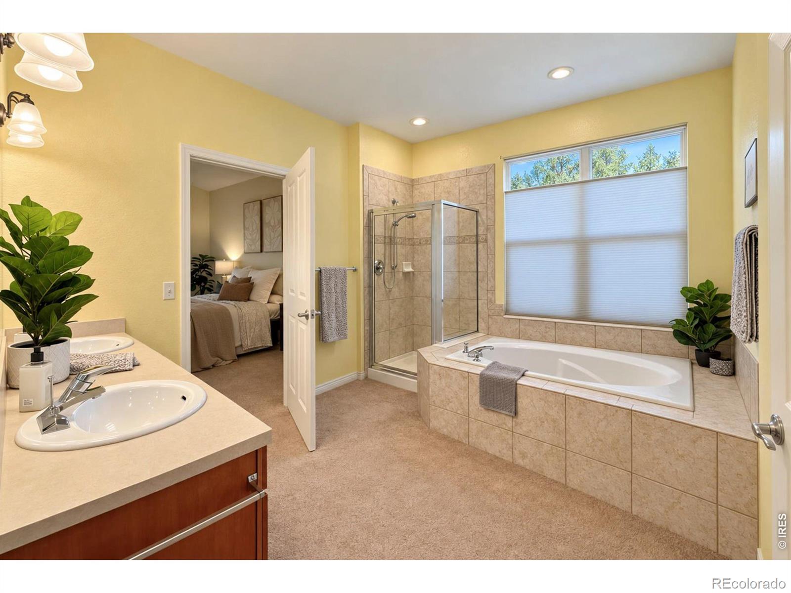 MLS Image #28 for 812  windflower drive,longmont, Colorado