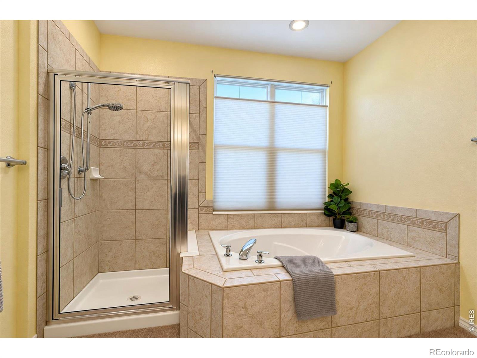 MLS Image #29 for 812  windflower drive,longmont, Colorado