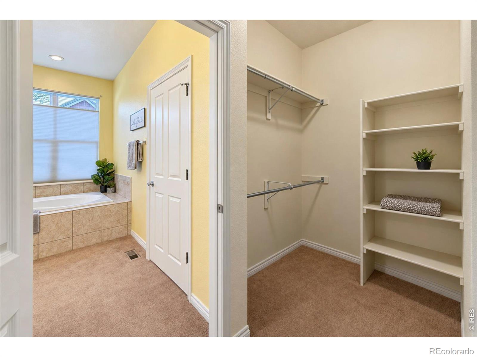 MLS Image #30 for 812  windflower drive,longmont, Colorado