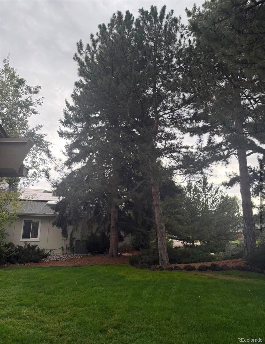 MLS Image #6 for 6141 s marion way,centennial, Colorado