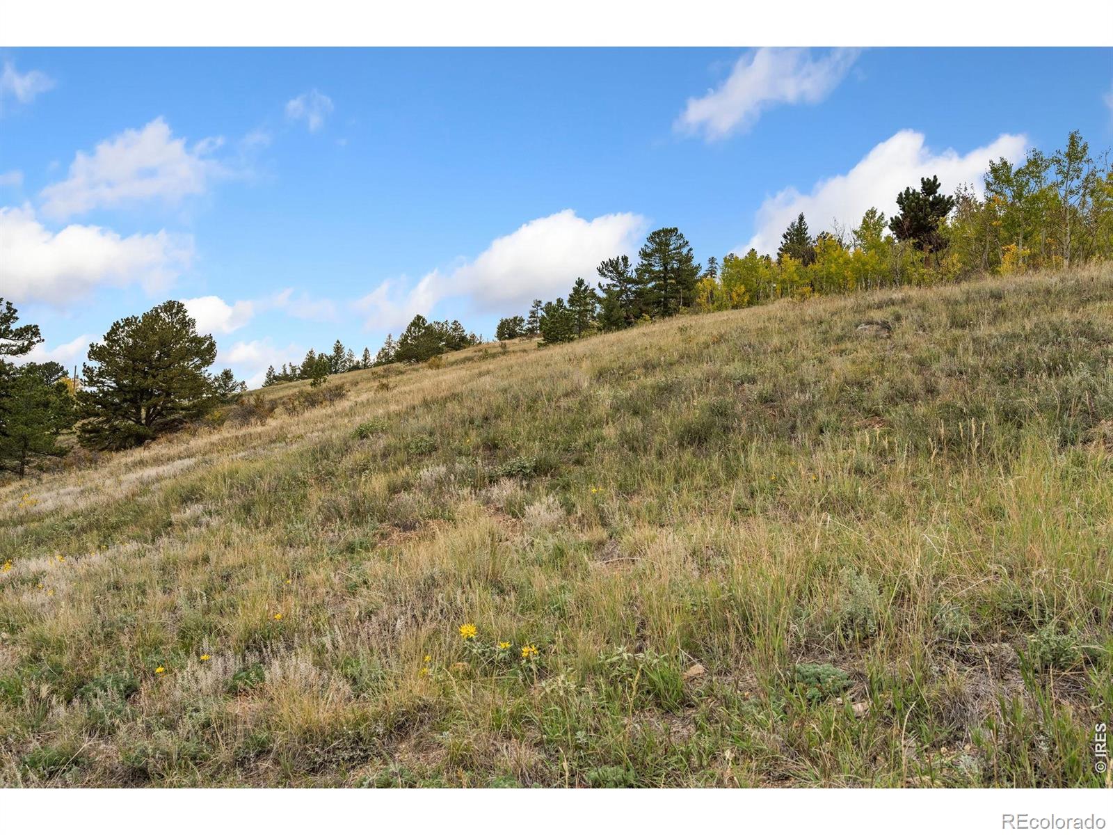 MLS Image #35 for 697 n beaver road,black hawk, Colorado