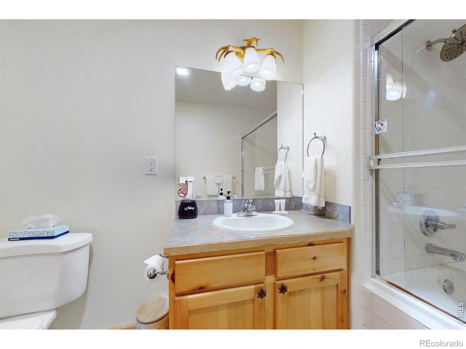 MLS Image #17 for 1516  fish hatchery road,estes park, Colorado