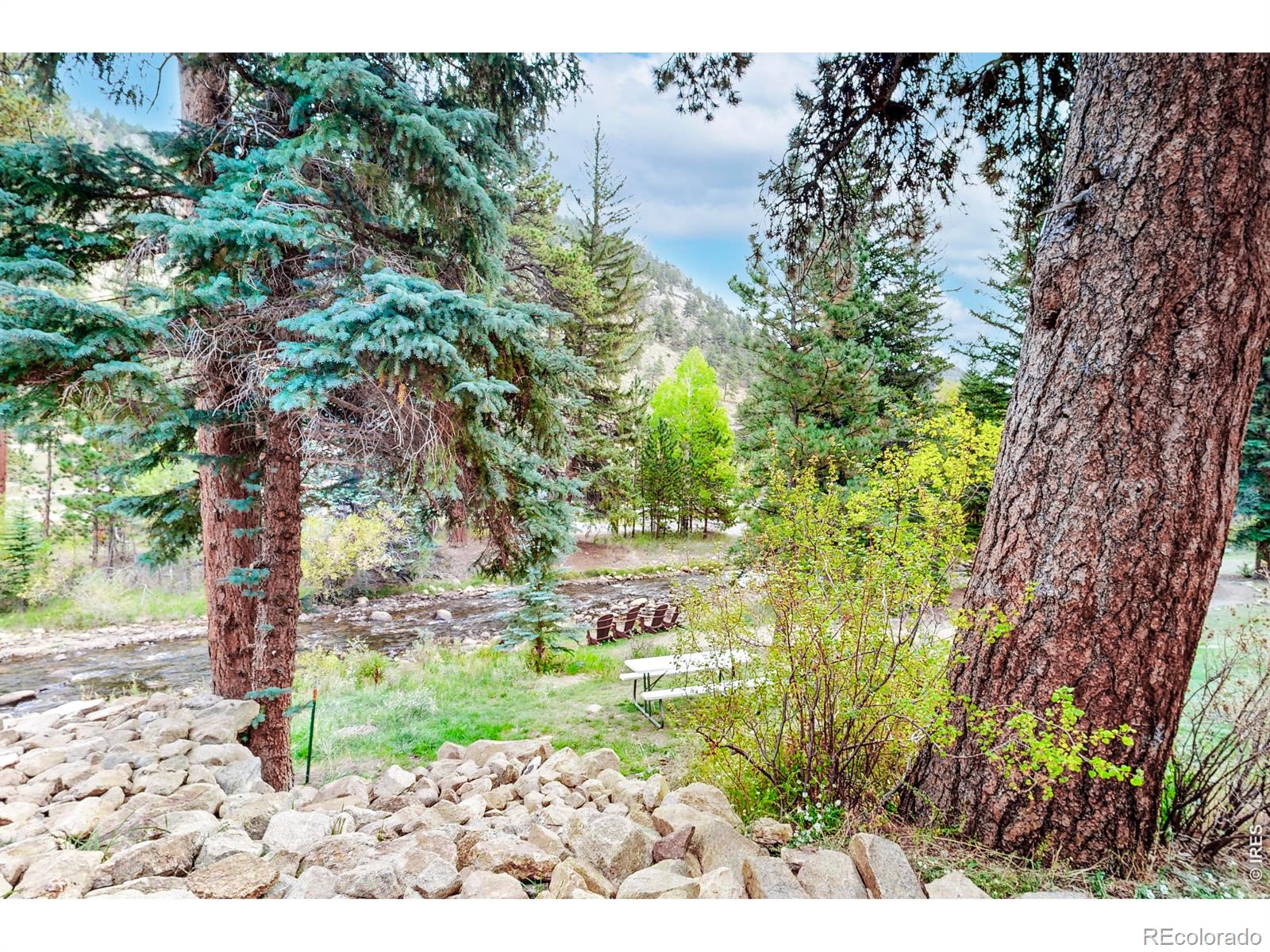MLS Image #2 for 1516  fish hatchery road,estes park, Colorado