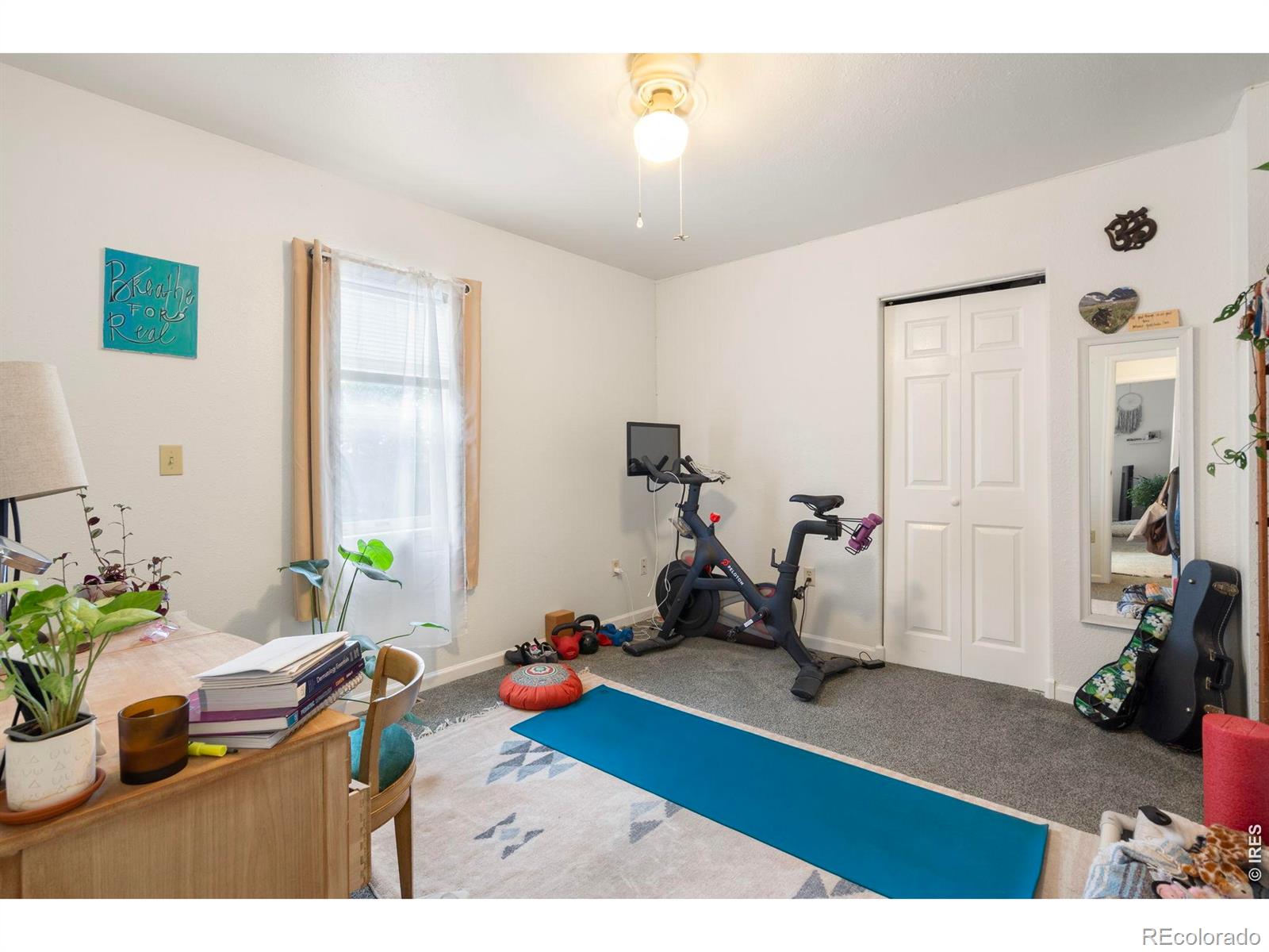 MLS Image #13 for 527  cowan street,fort collins, Colorado