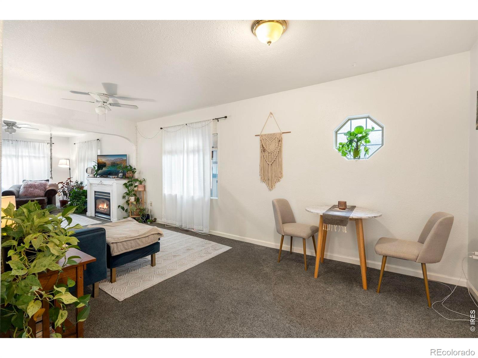 MLS Image #6 for 527  cowan street,fort collins, Colorado