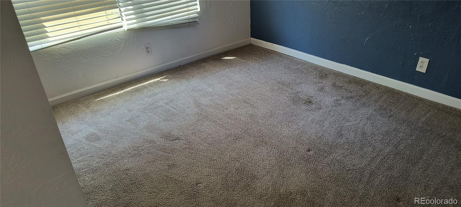 MLS Image #4 for 166  newton street,denver, Colorado