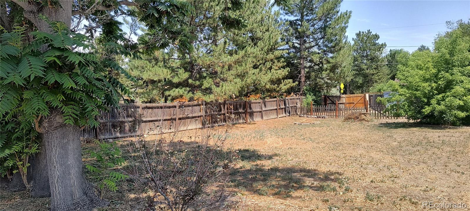 MLS Image #9 for 166  newton street,denver, Colorado