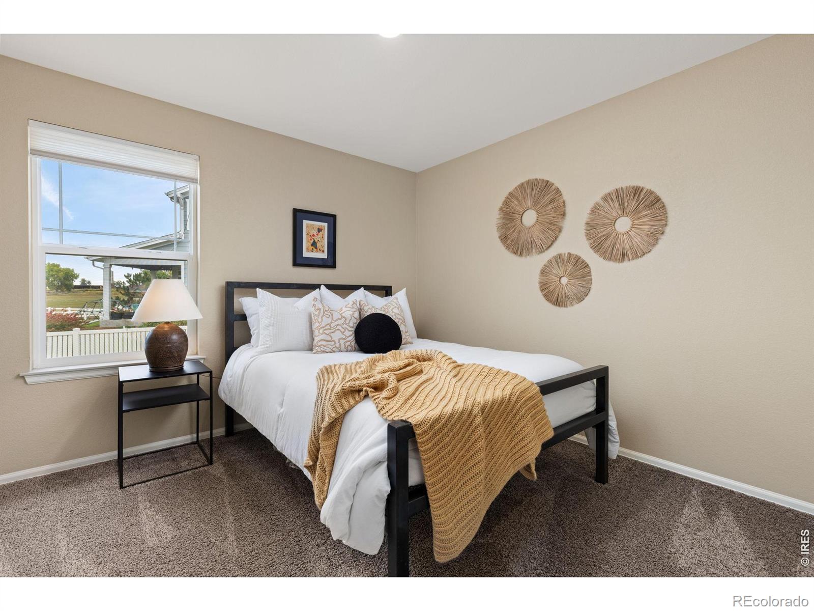 MLS Image #20 for 157  peppler drive,longmont, Colorado
