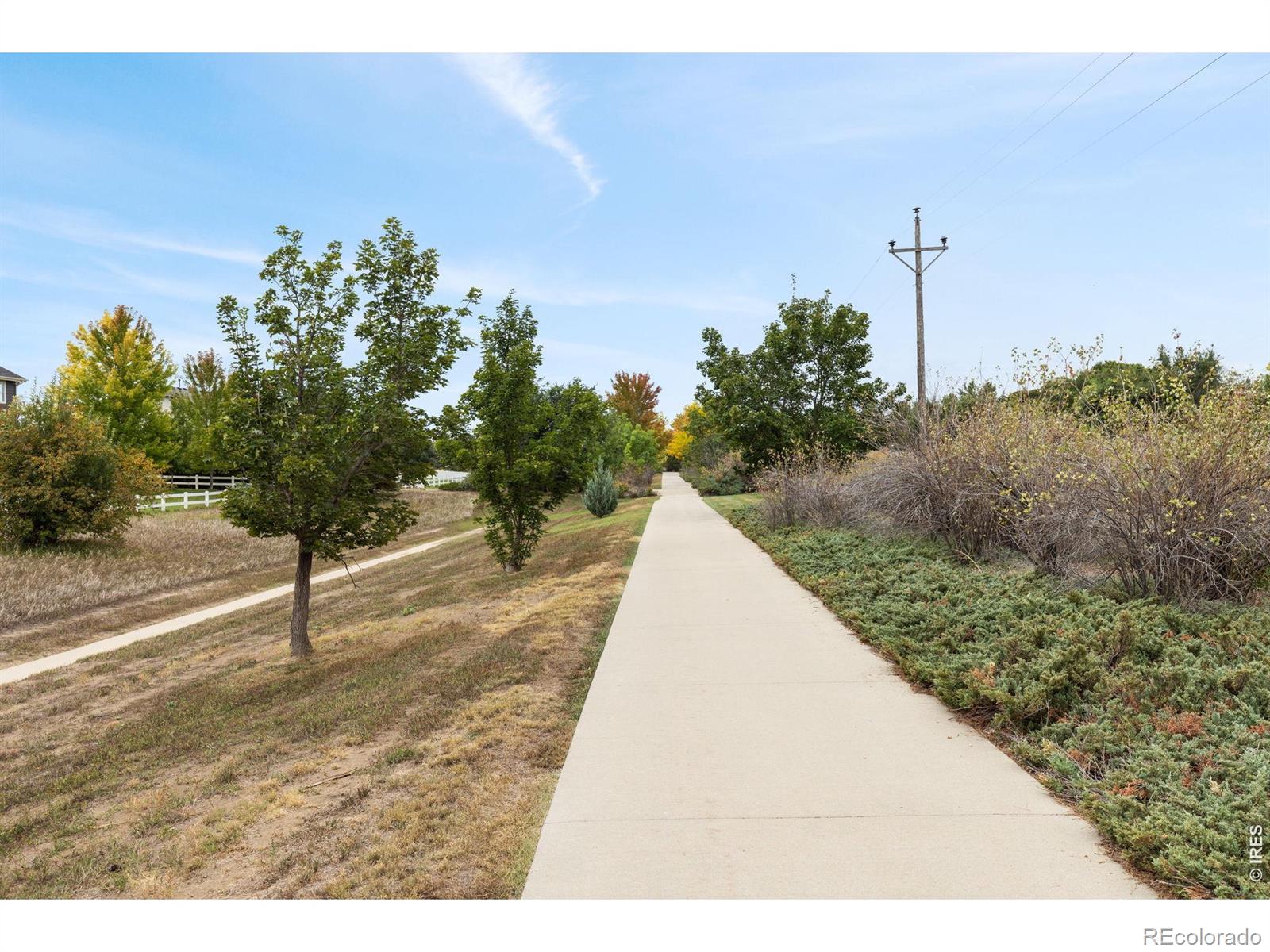 MLS Image #33 for 157  peppler drive,longmont, Colorado