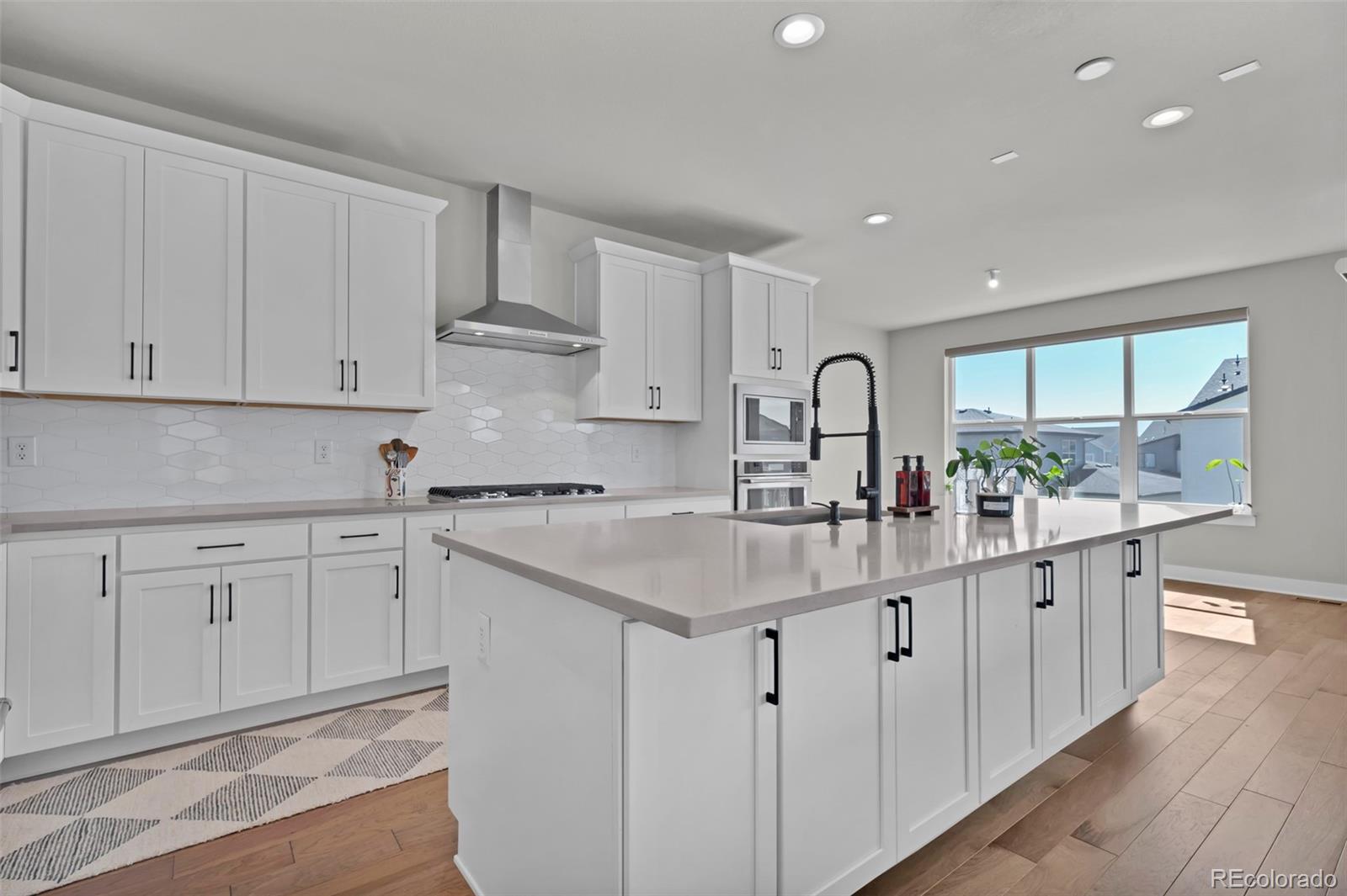 MLS Image #22 for 5590  amarosa drive,parker, Colorado