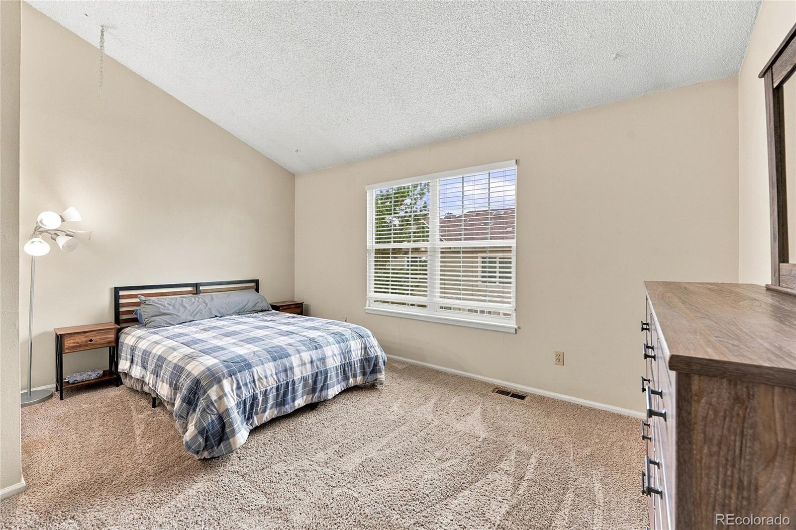 MLS Image #10 for 7667 s steele street ,centennial, Colorado