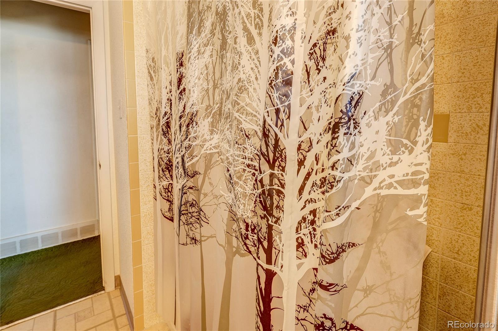 MLS Image #11 for 10434  downing street,northglenn, Colorado