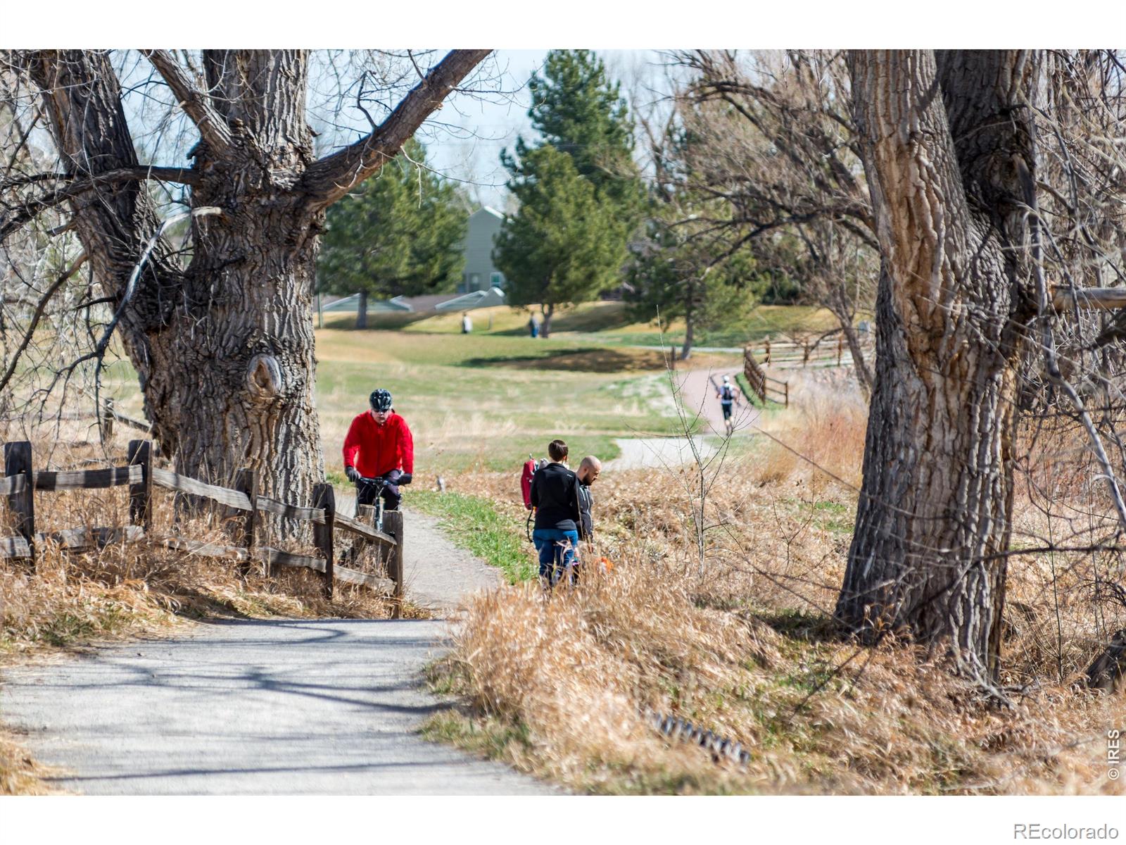 MLS Image #40 for 7330  meadow lane,niwot, Colorado