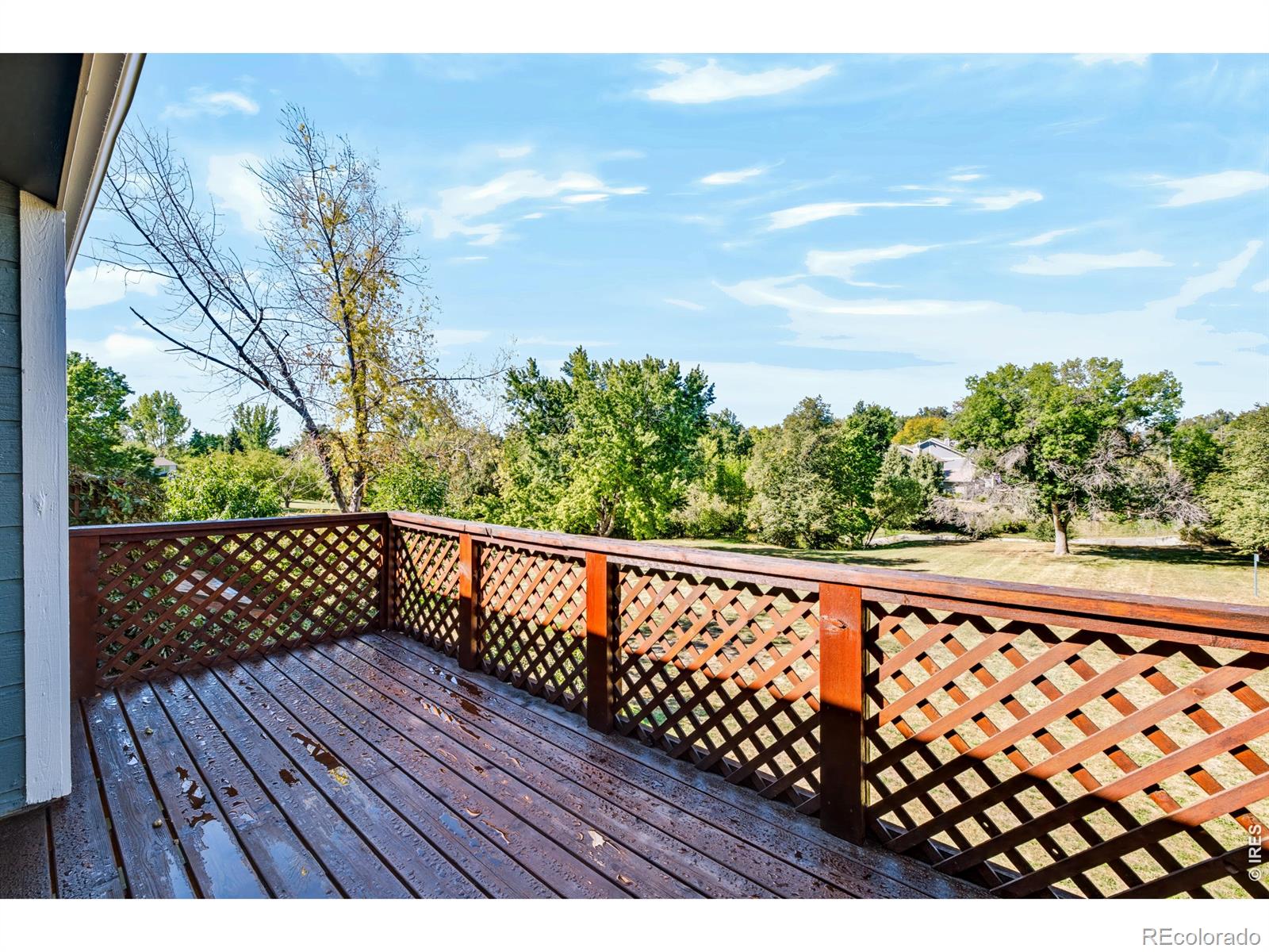 MLS Image #2 for 1241  baker street,longmont, Colorado